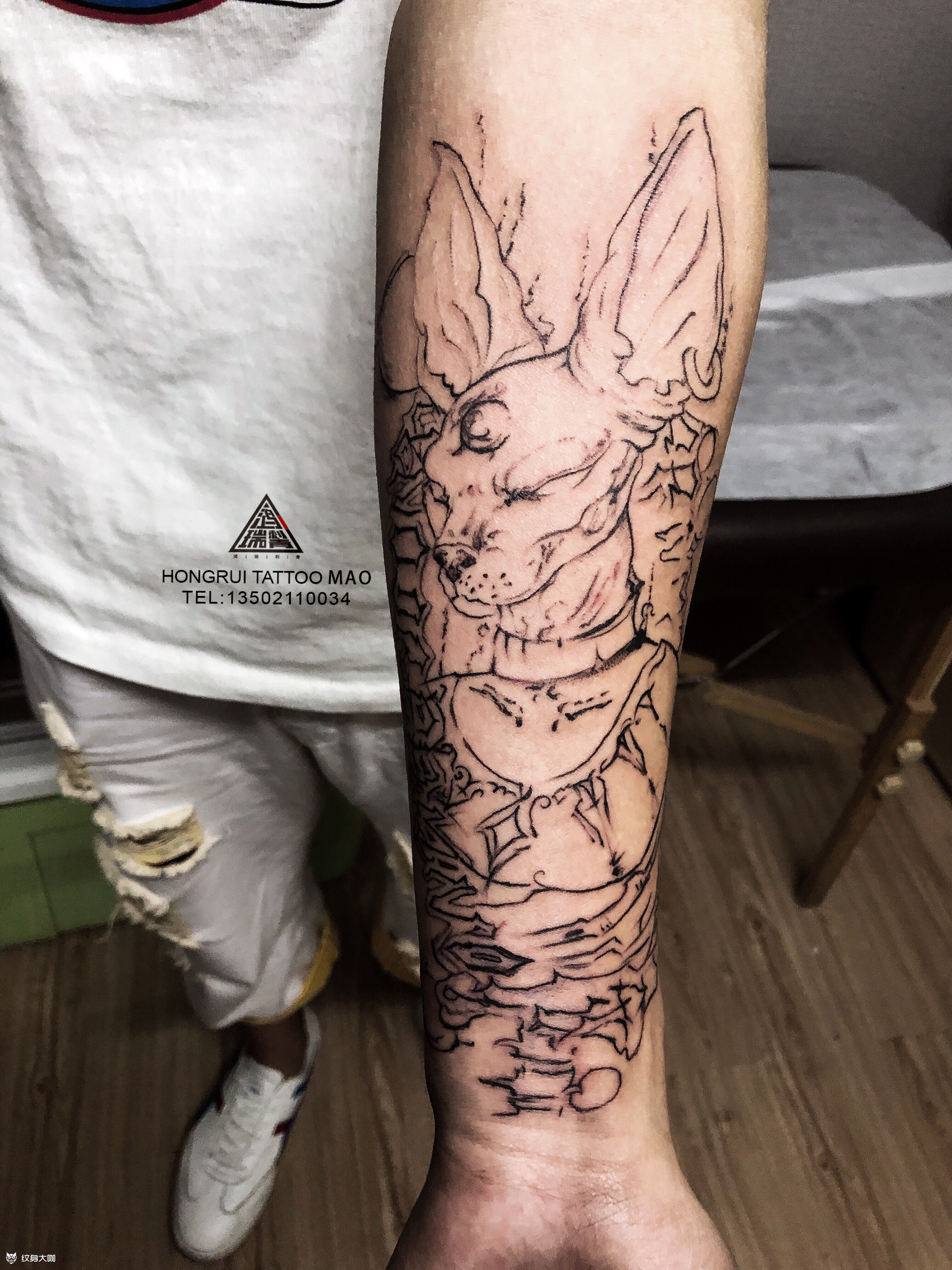 比鲁斯无毛猫纹身作品_纹身图案手稿图片_左手酱毛毛的纹身作品集