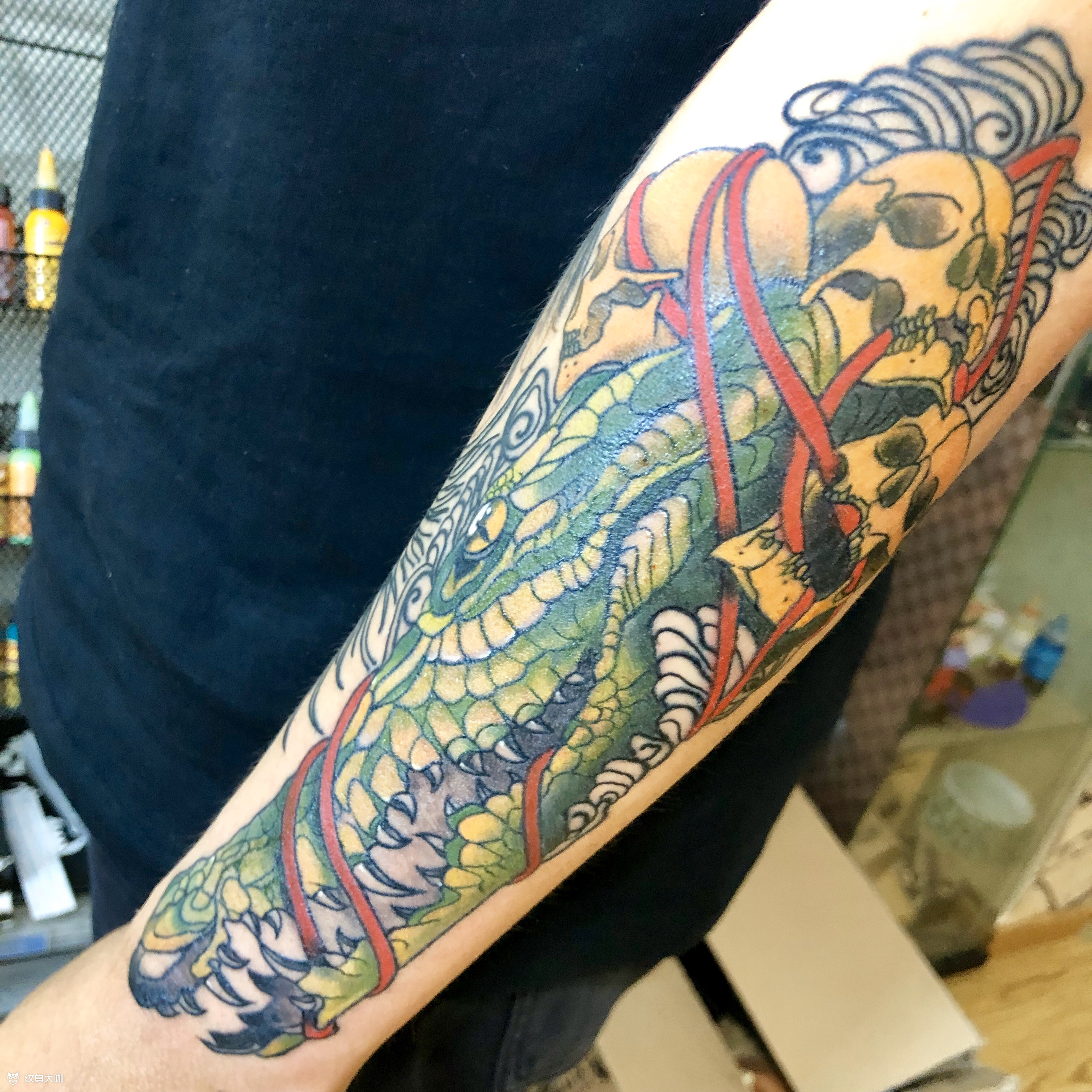 鳄鱼骷髅_纹身图案手稿图片_大宝的纹身作品集