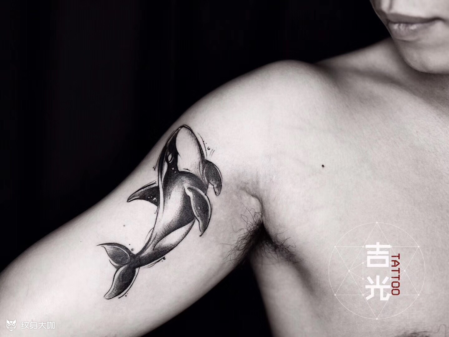 虎鲸_纹身图案手稿图片_桃玖的纹身作品集