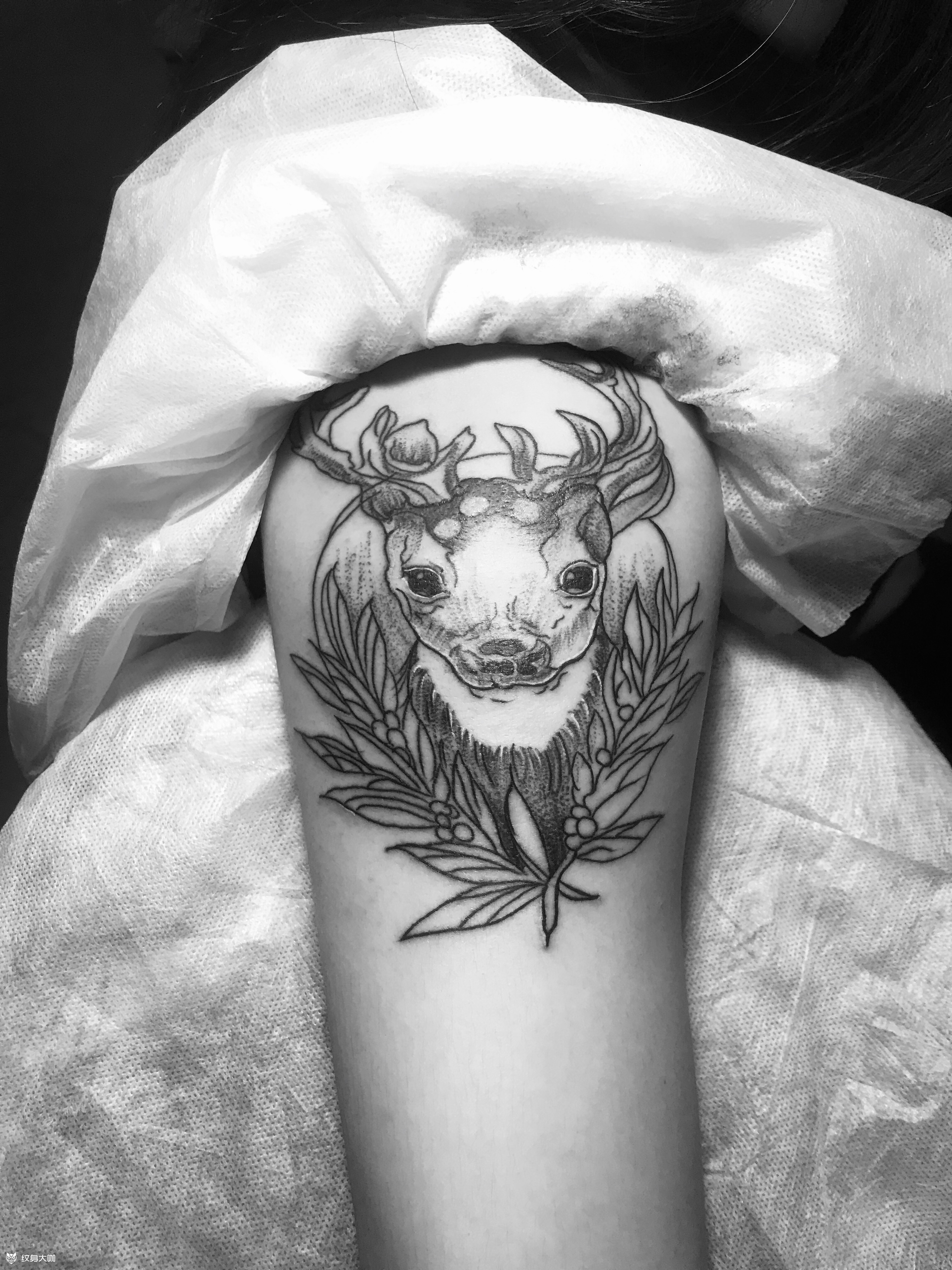 麋鹿圆五_纹身图案手稿图片_异墨一门 雕禄04的纹身作品集