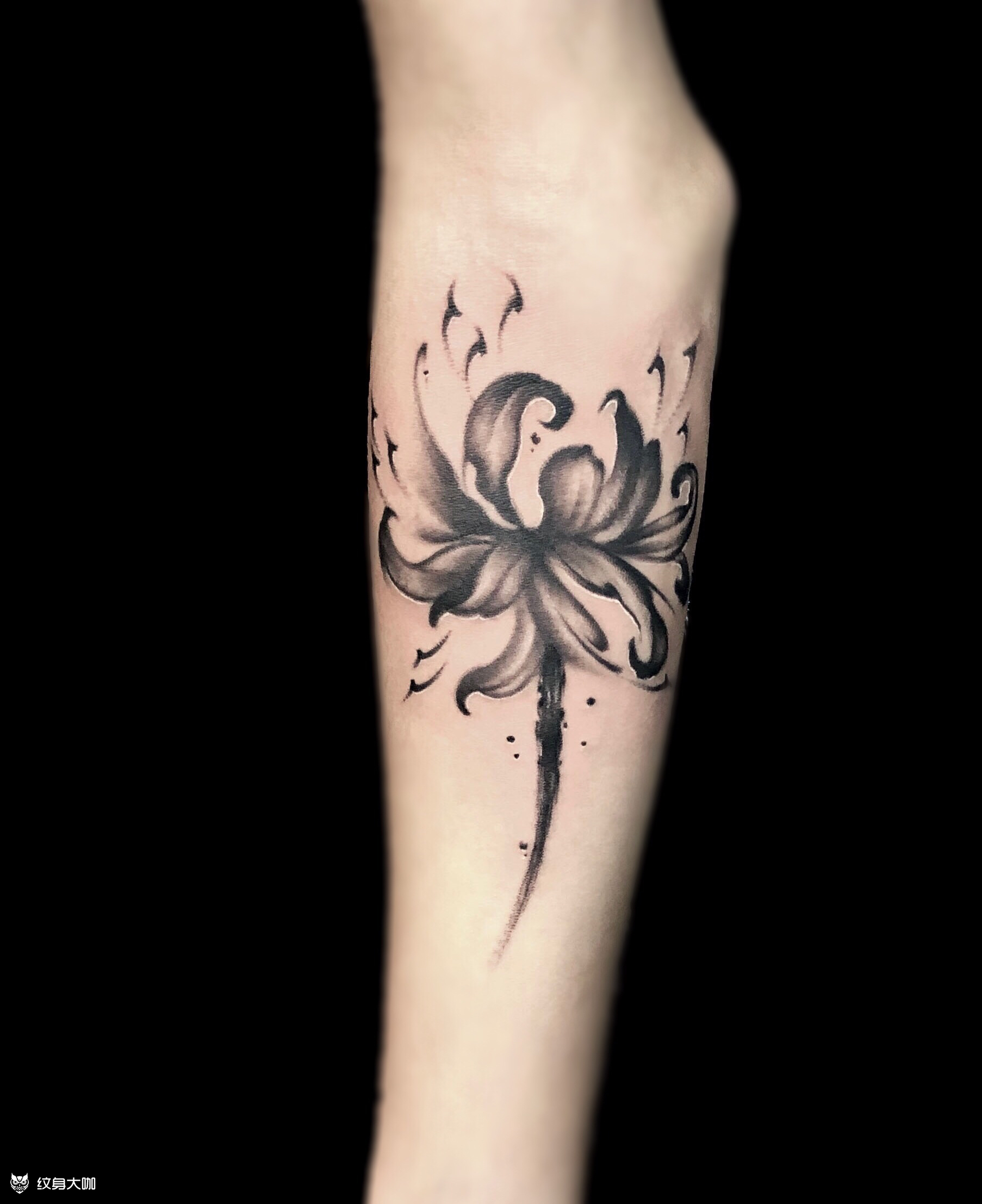 彼岸花_纹身图案手稿图片_陈浩宇的纹身作品集