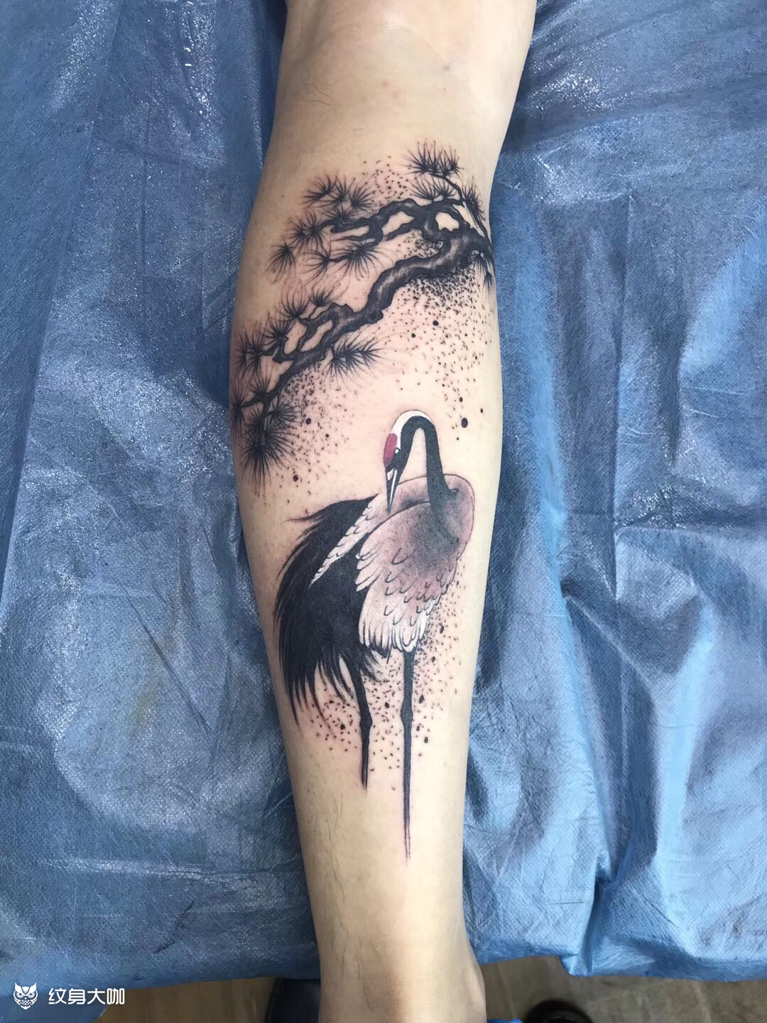 松鹤_纹身图案手稿图片_小伍的纹身作品集