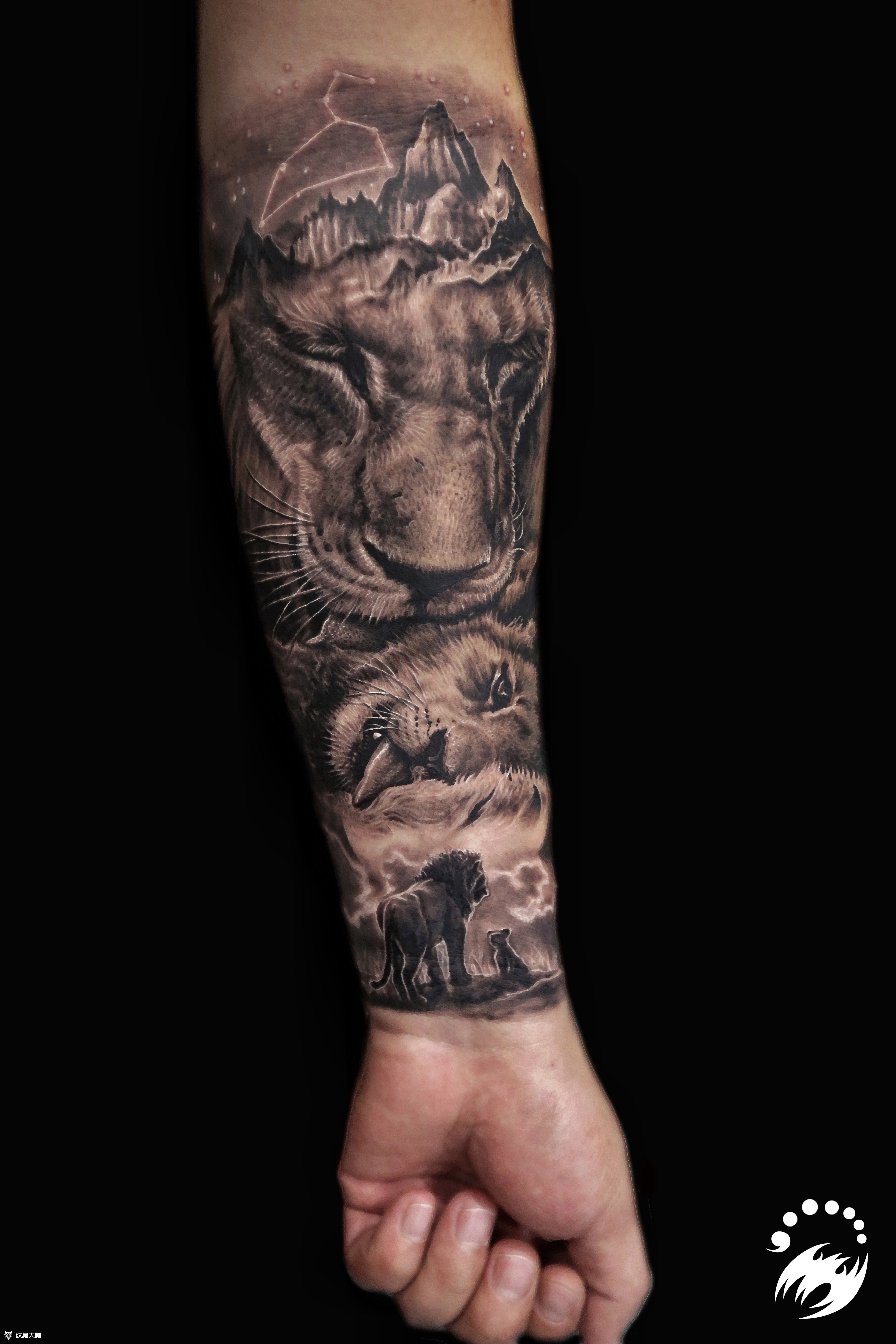 朴宰范狮子纹身图案图片