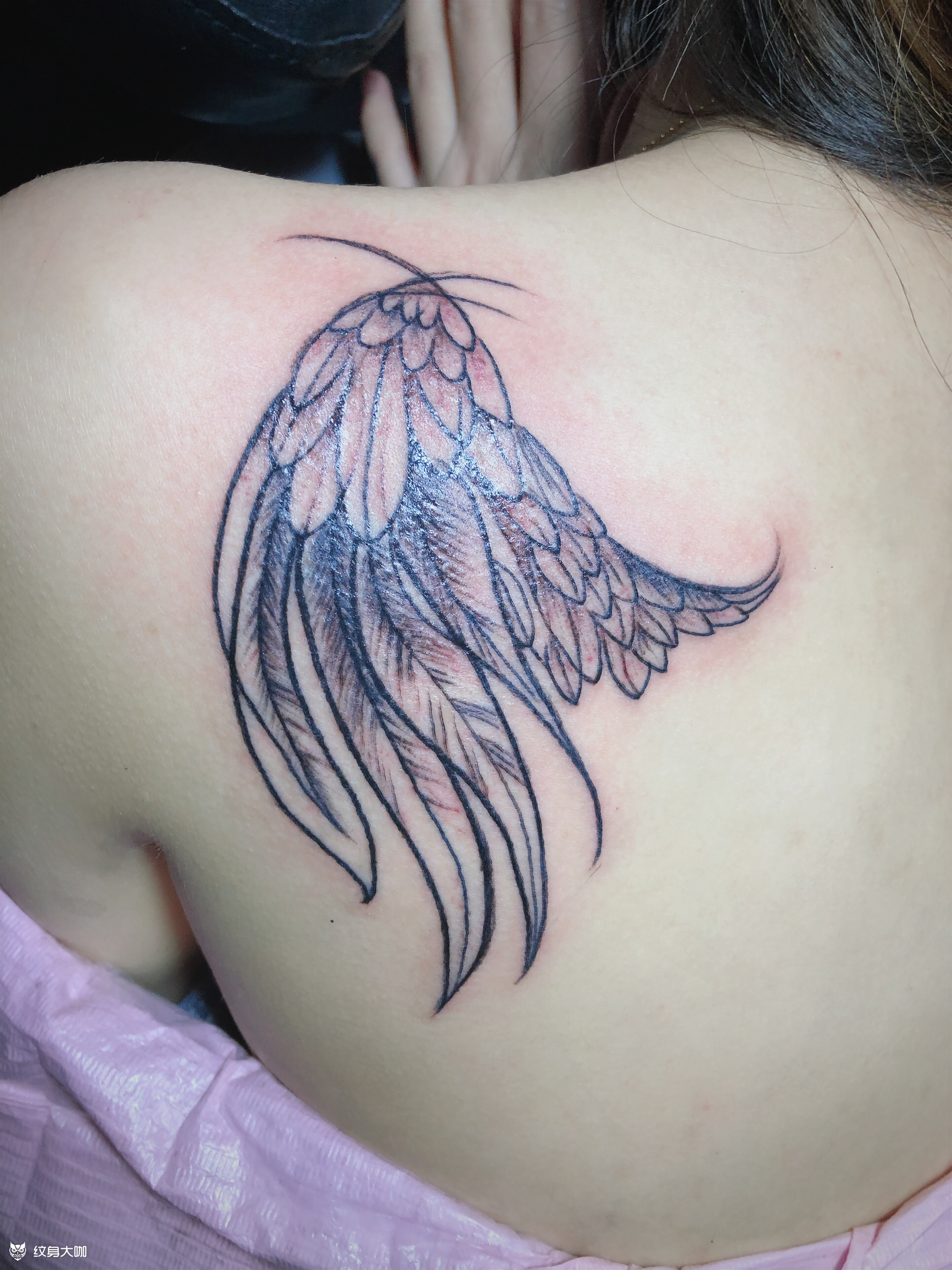 比翼鸟_纹身图案手稿图片_阿研哥98瞳稚的纹身作品集