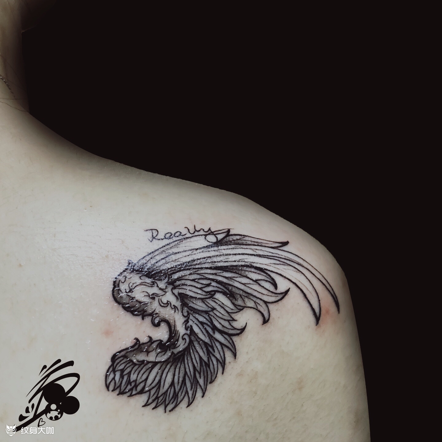 翅膀_纹身图案手稿图片_可欣93的纹身作品集