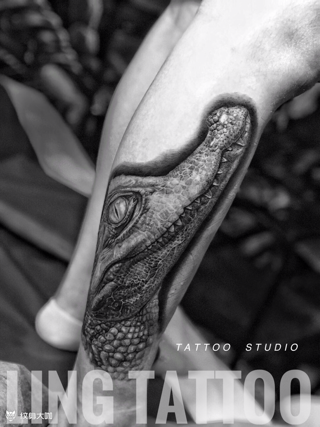 鳄鱼纹身图案图片
