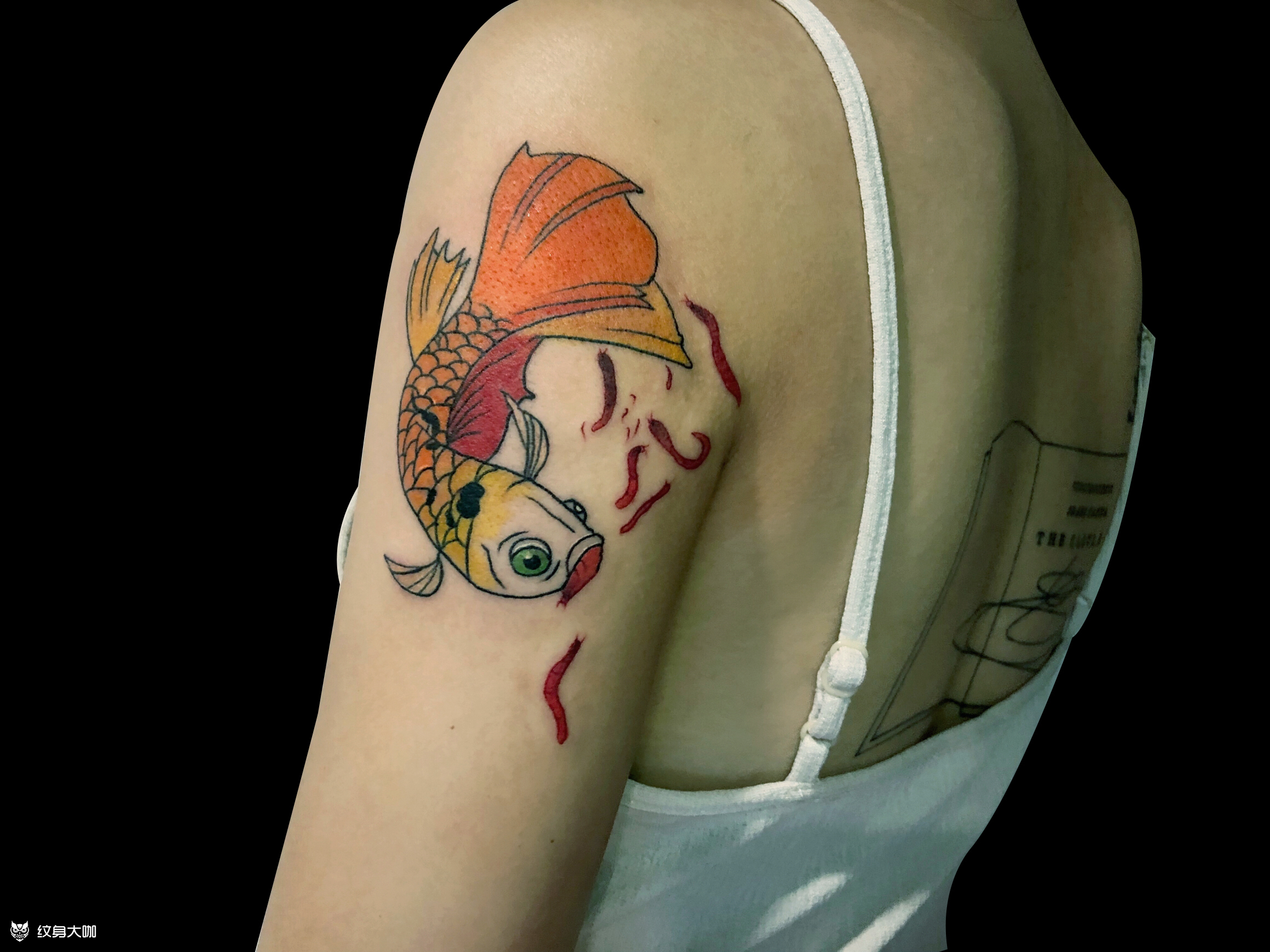 泰国斗鱼_纹身图案手稿图片_是大眼贼呀的纹身作品集
