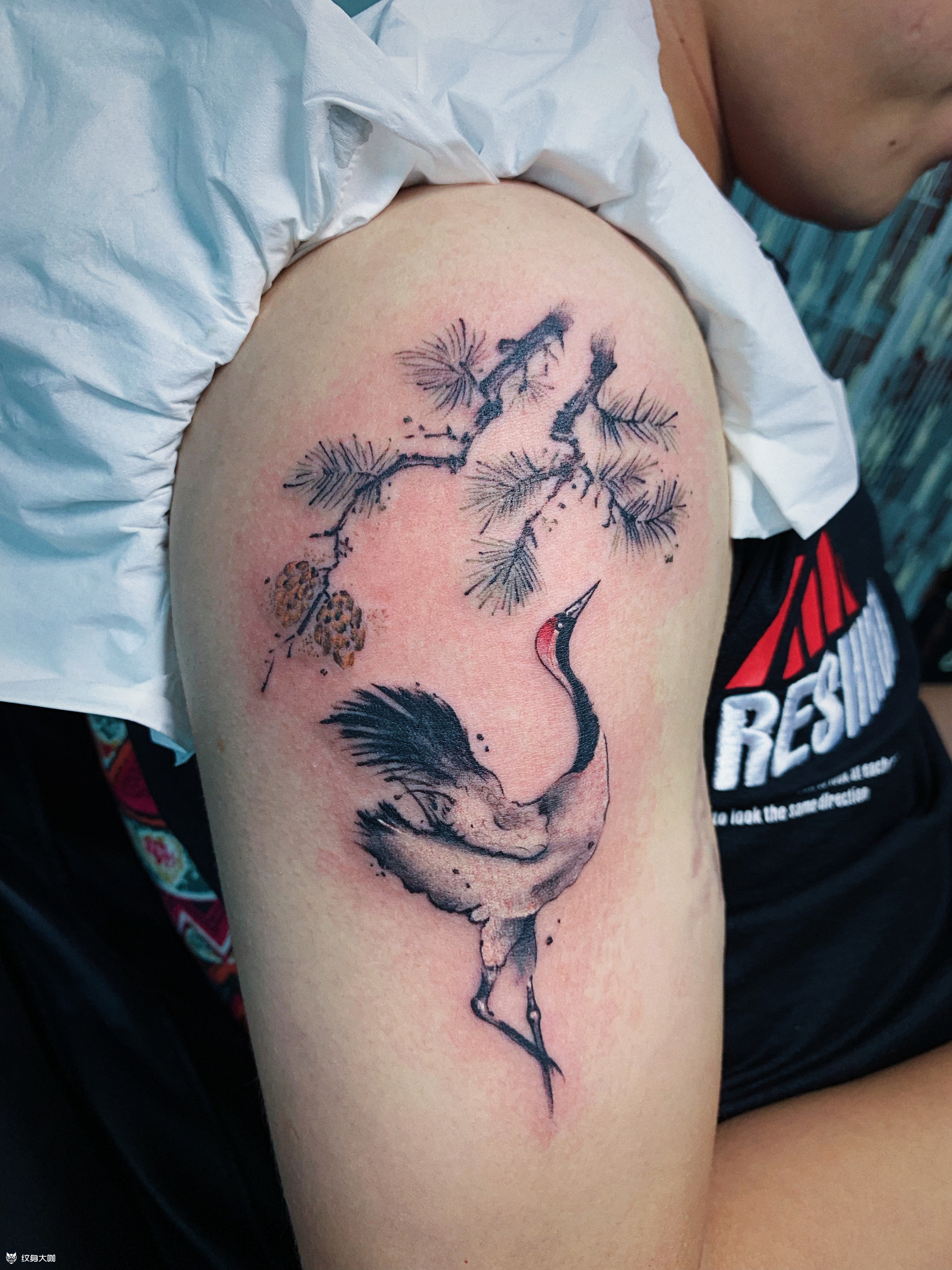 松树仙鹤纹身图片