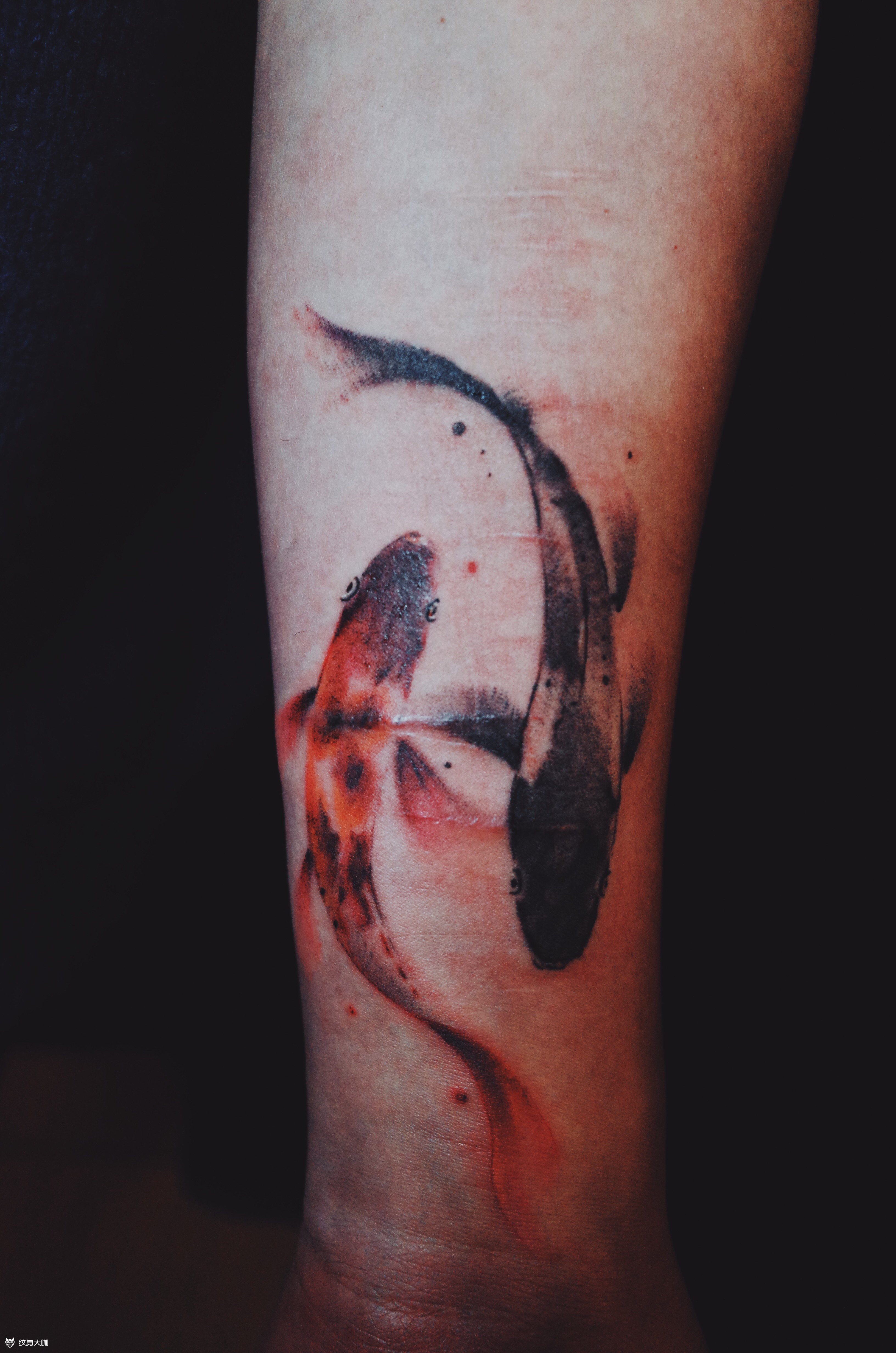 中国风水墨鱼_纹身图案手稿图片_sao哥的纹身作品集