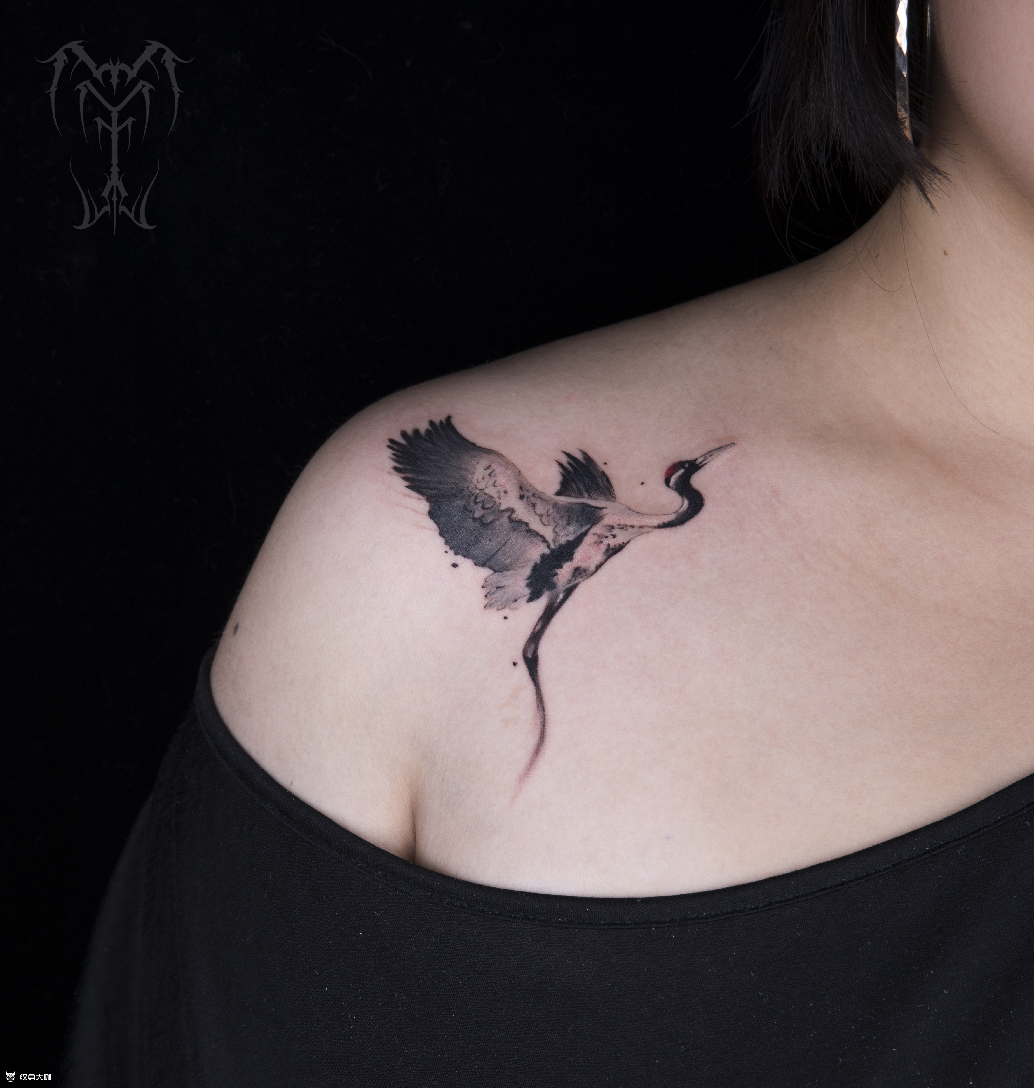 丹顶鹤_纹身图案手稿图片_文墨坊tattoo的纹身作品集