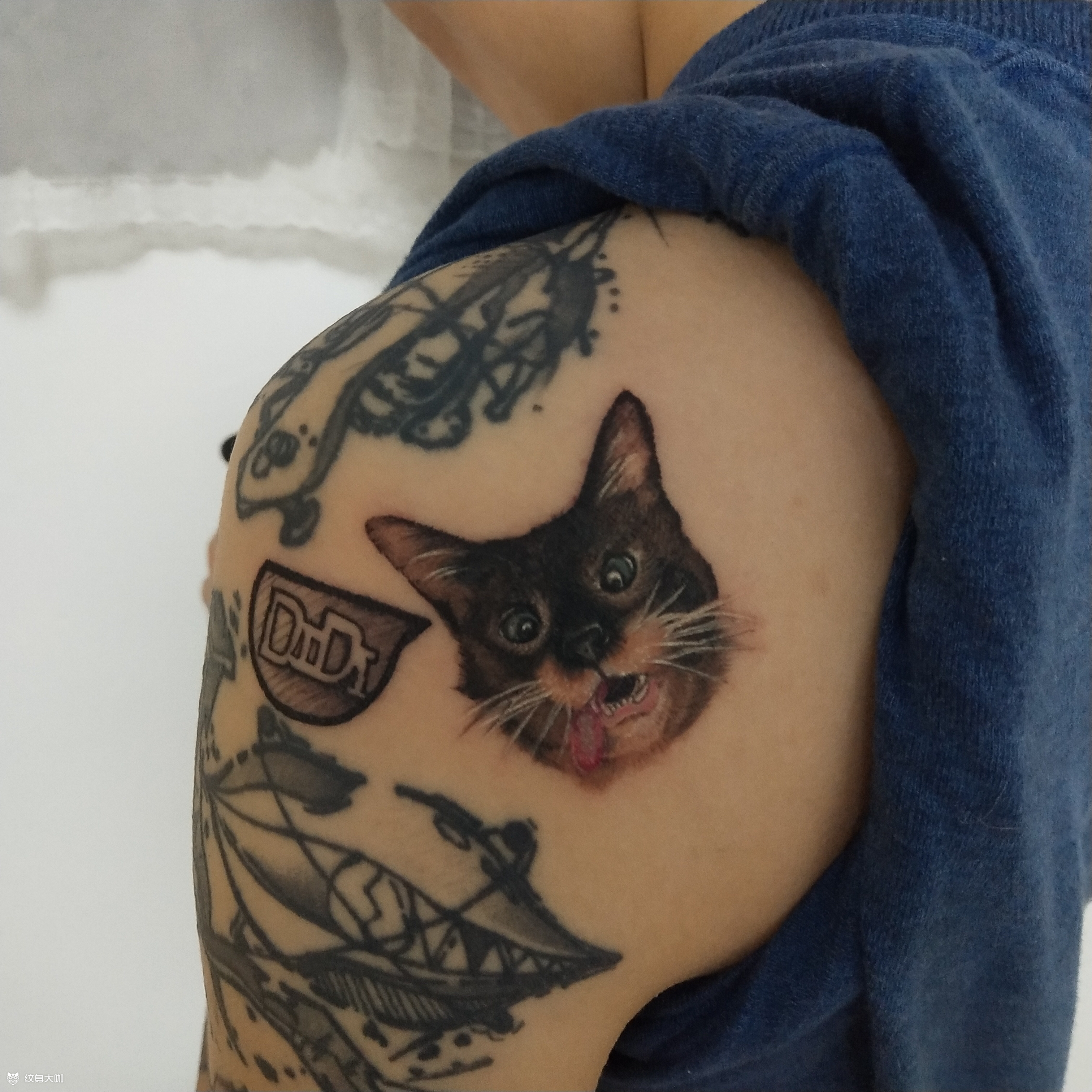 4厘米超小猫头暹罗猫,取自刚_纹身吧社区 - 纹身大咖