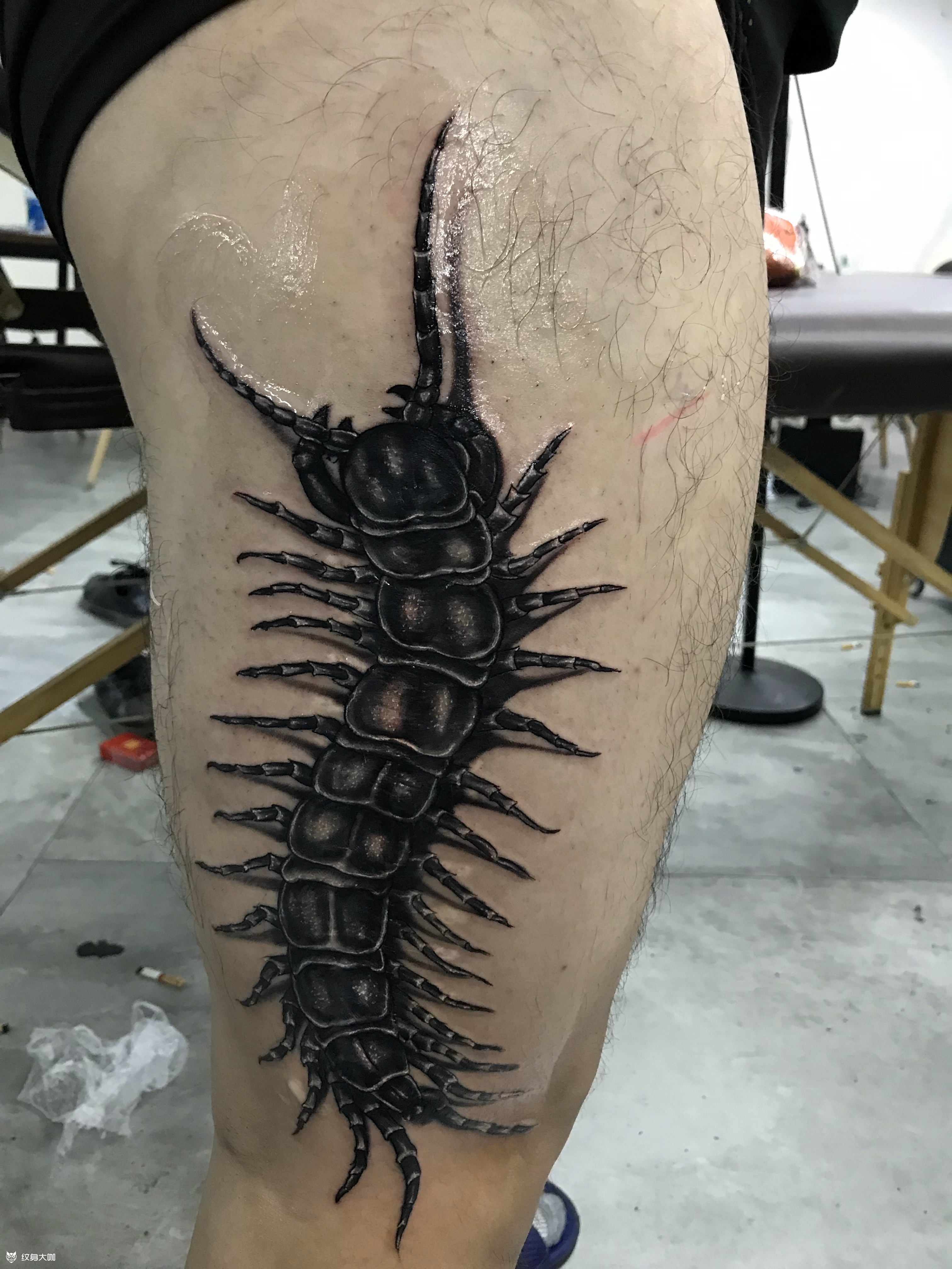 蜈蚣_纹身图案手稿图片_黑色绘的纹身作品集