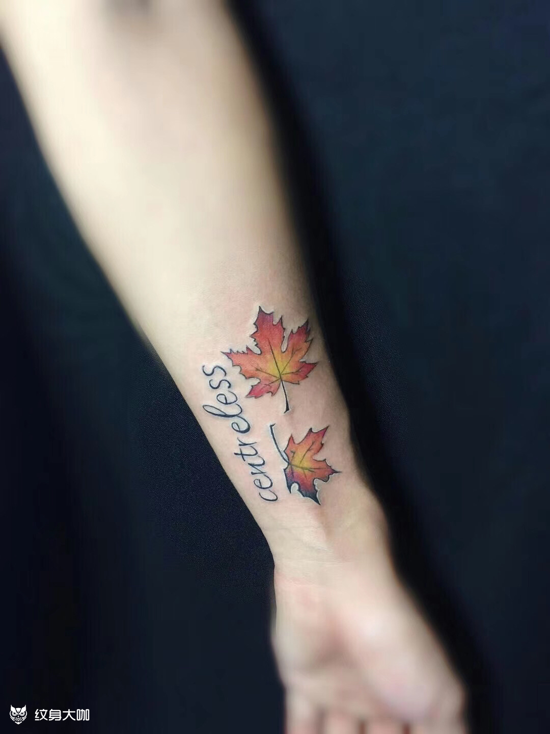 小枫叶_纹身图案手稿图片_ 骑士的纹身作品集