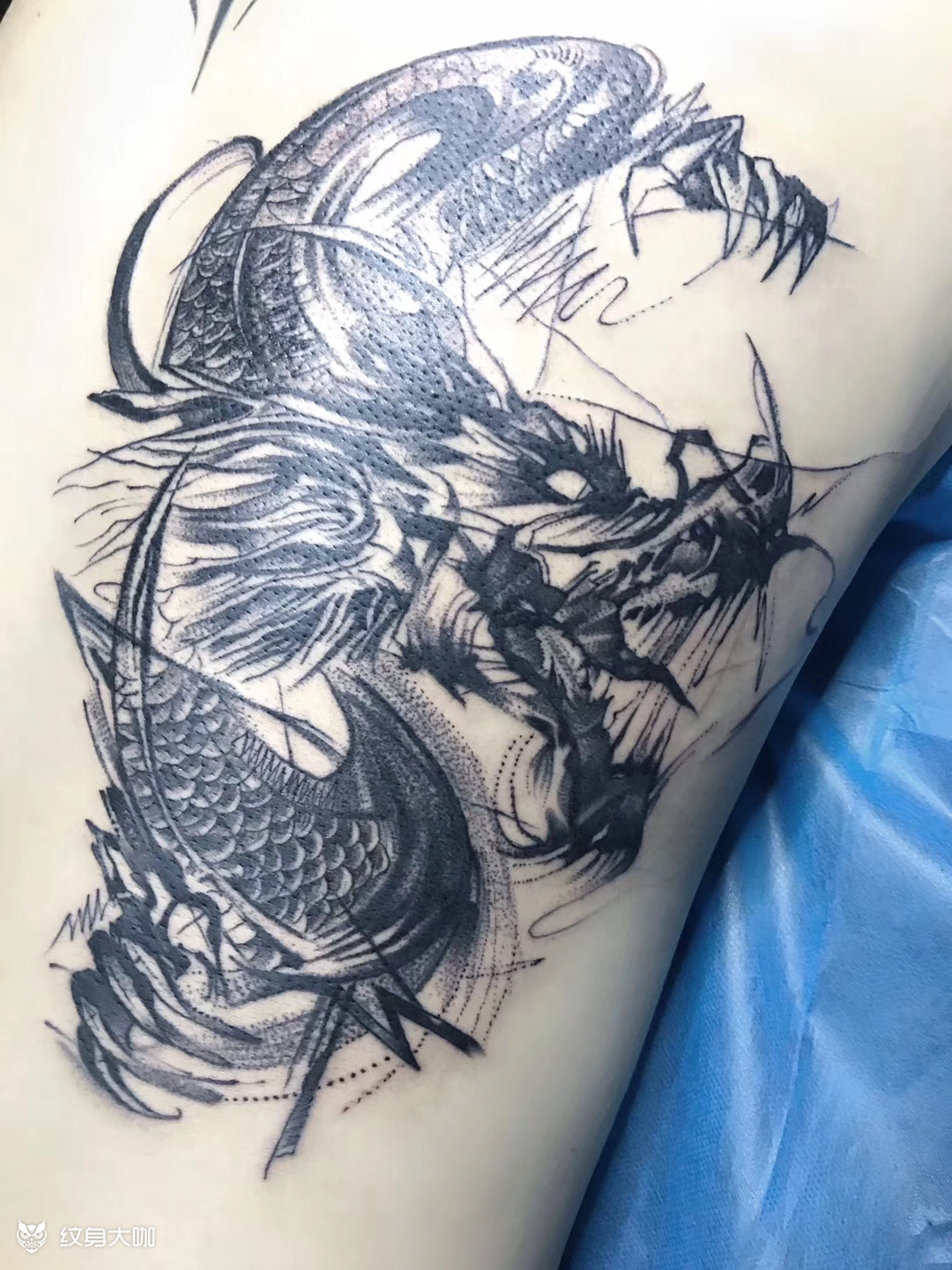 素描龙头_纹身图案手稿图片_ 骑士的纹身作品集