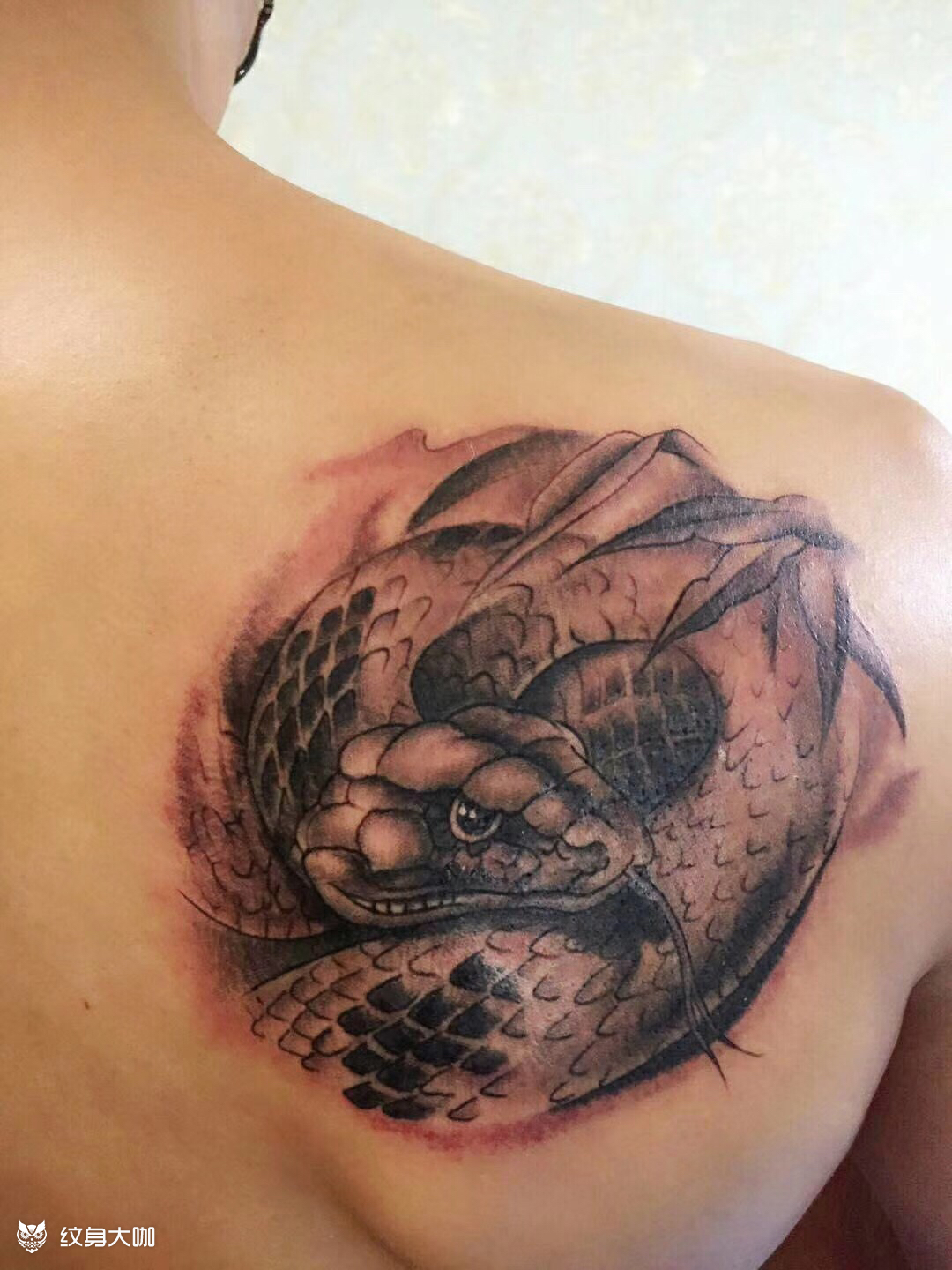 蛇_纹身图案手稿图片_南京果纹画的纹身作品集