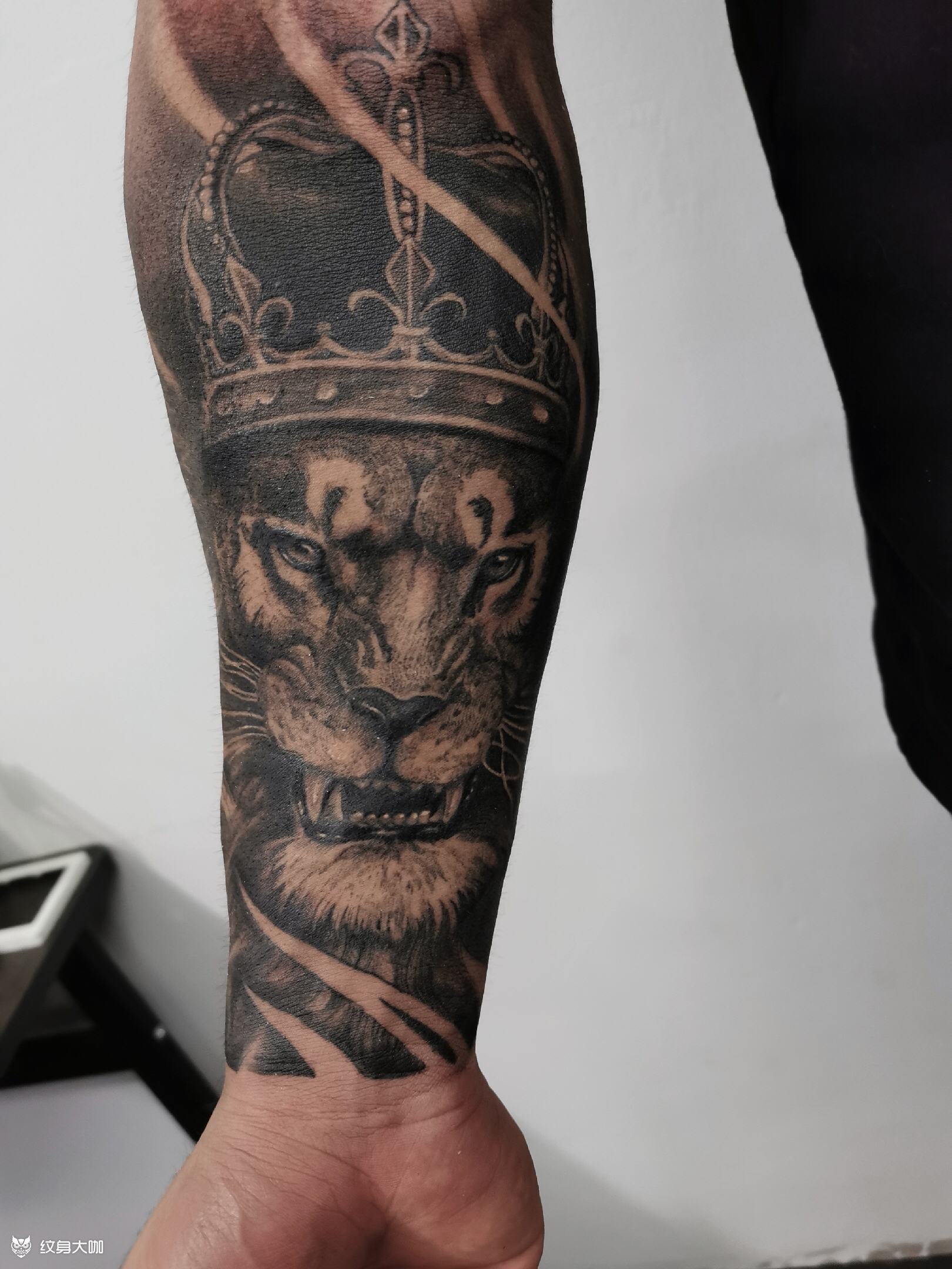 狮子王_纹身图案手稿图片_陈冲的纹身作品集