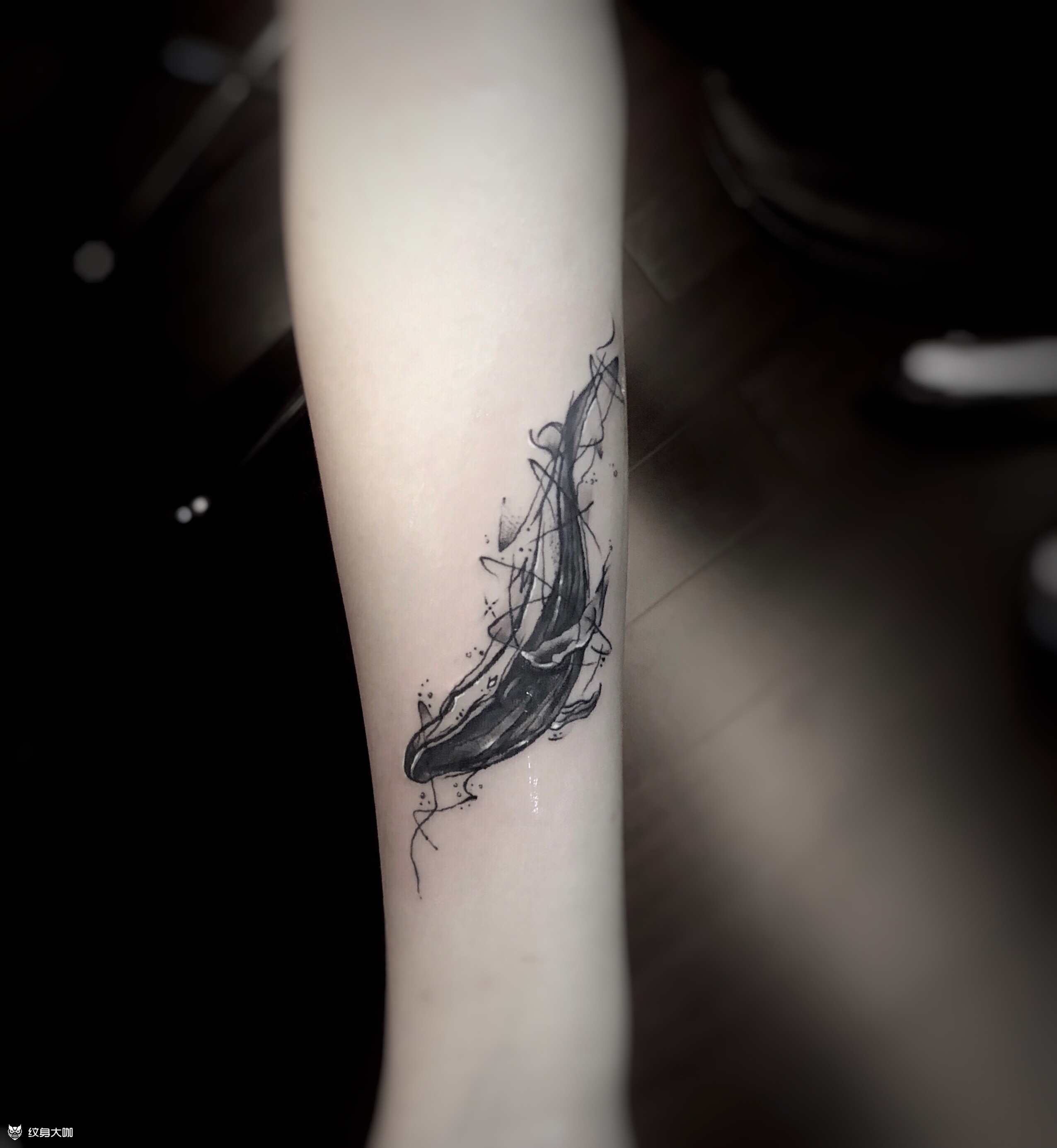 鲸鱼_纹身图案手稿图片_浩峰的纹身作品集