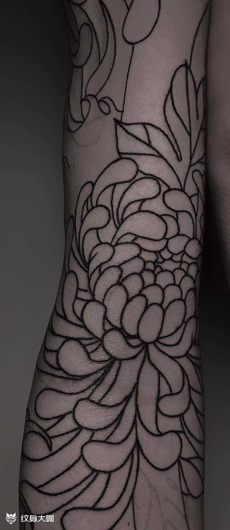 老传统菊花_纹身图案手稿图片_冉波的纹身作品集