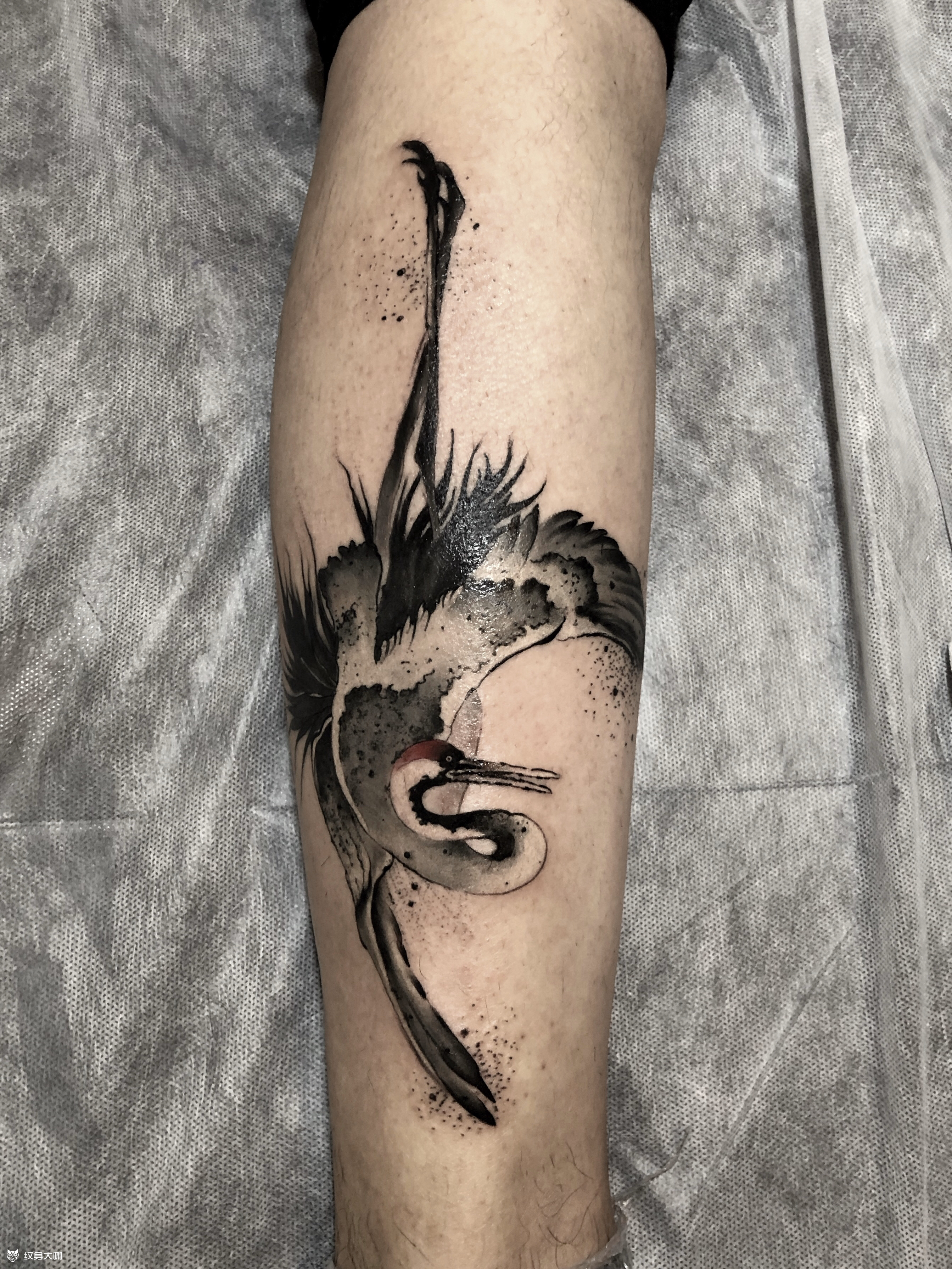 水墨仙鹤_纹身图案手稿图片_张浩的纹身作品集