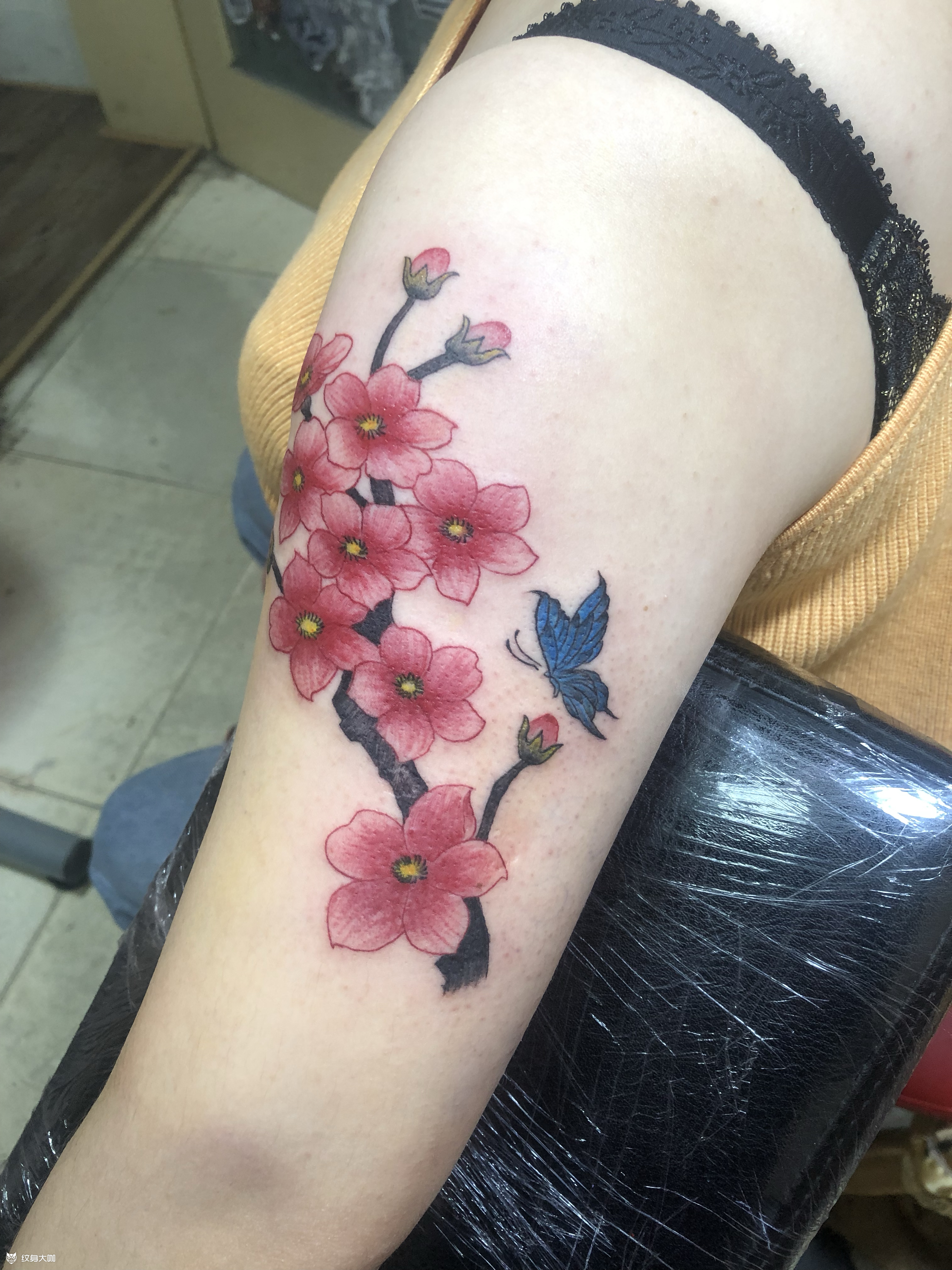 桃花_纹身图案手稿图片_陈维纵的纹身作品集