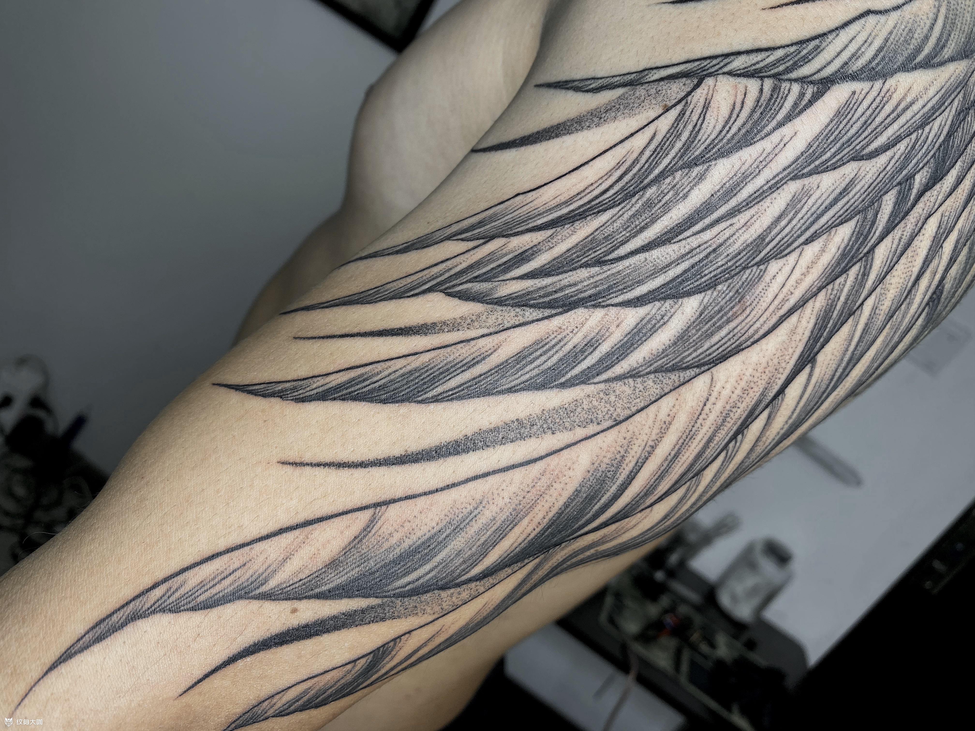 满背翅膀侧面图细节_纹身图案手稿图片_程程joy的纹身作品集