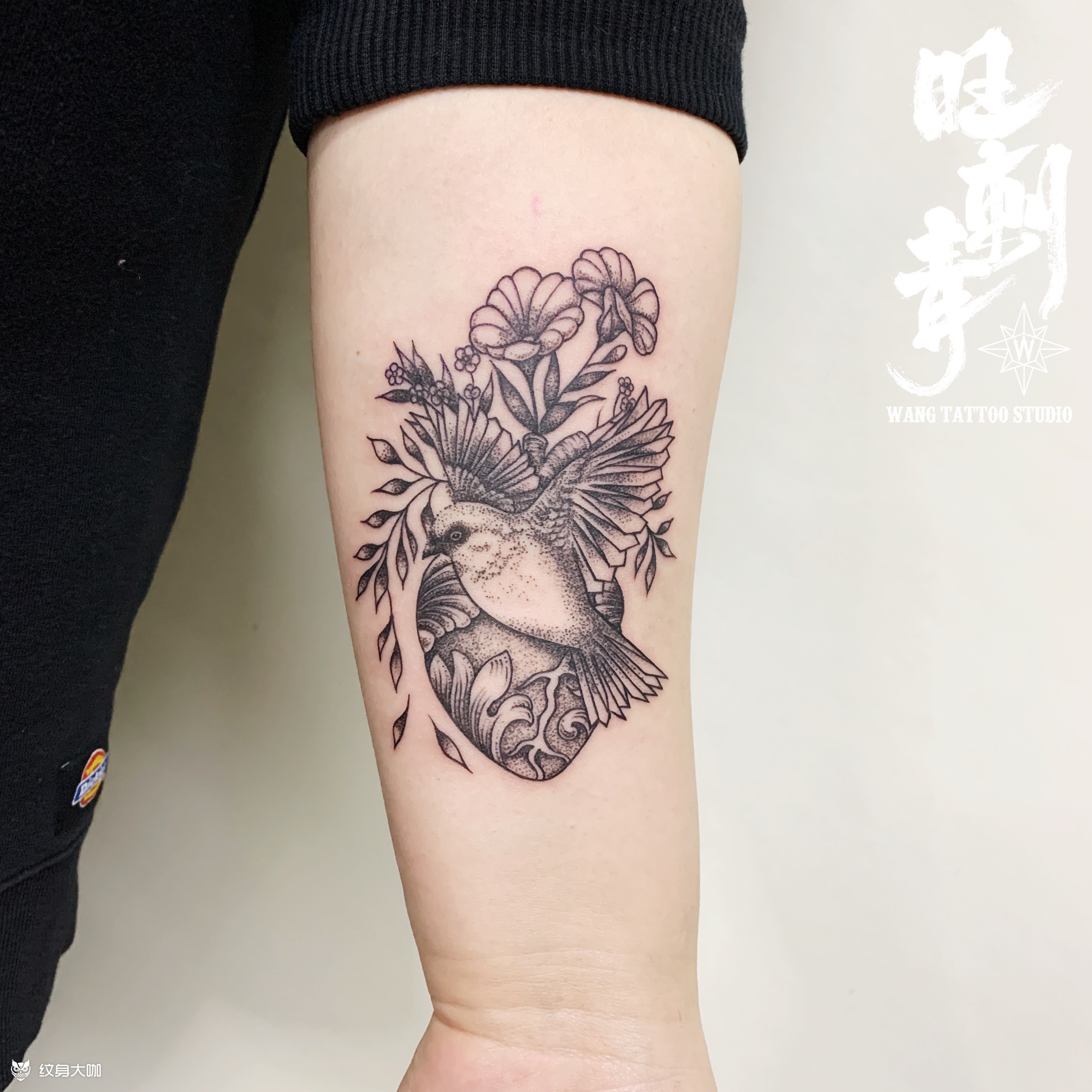 无脚鸟_纹身图案手稿图片_刘兴旺的纹身作品集