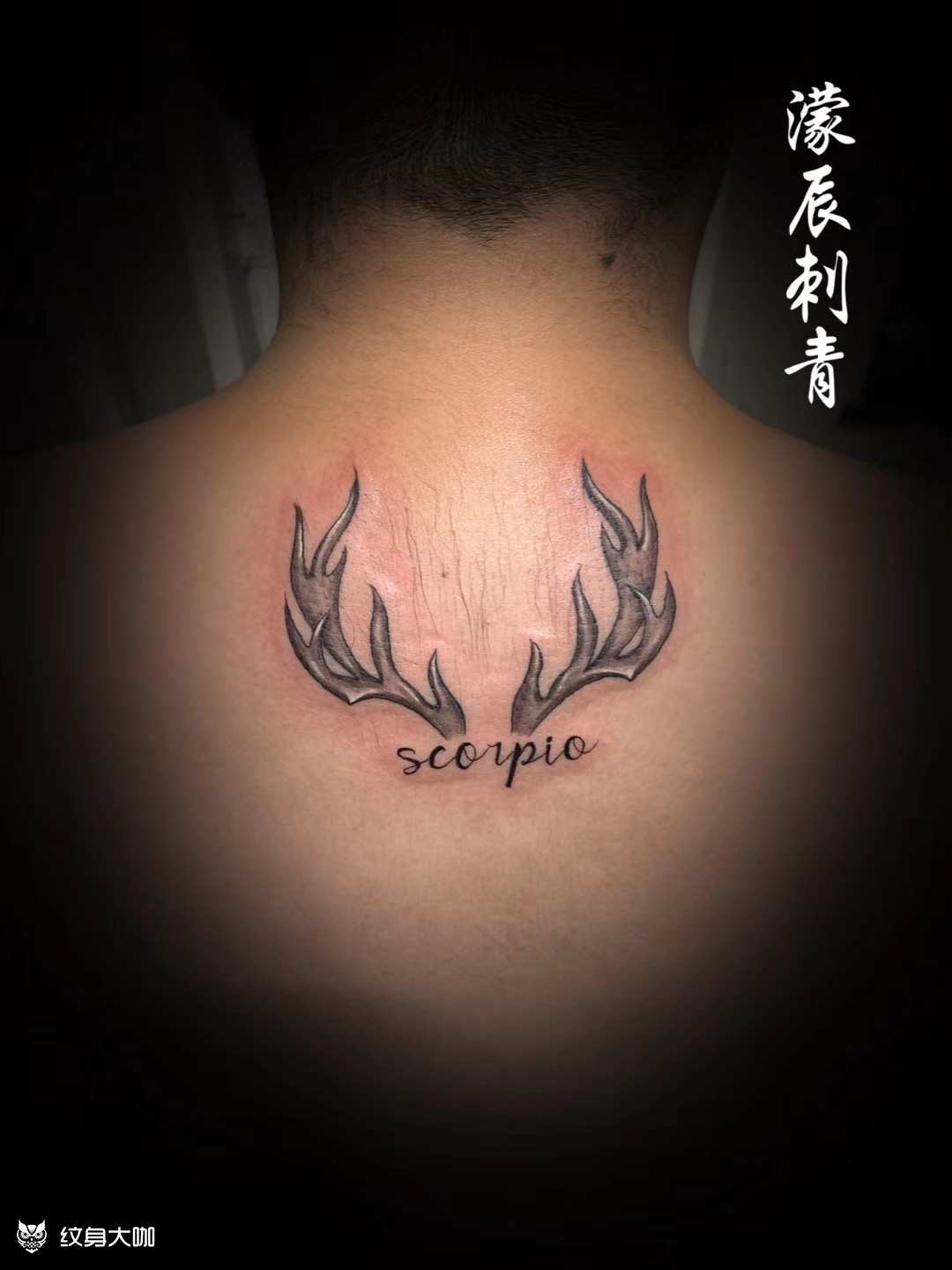 鹿角_纹身图案手稿图片_首席~鲆的纹身作品集