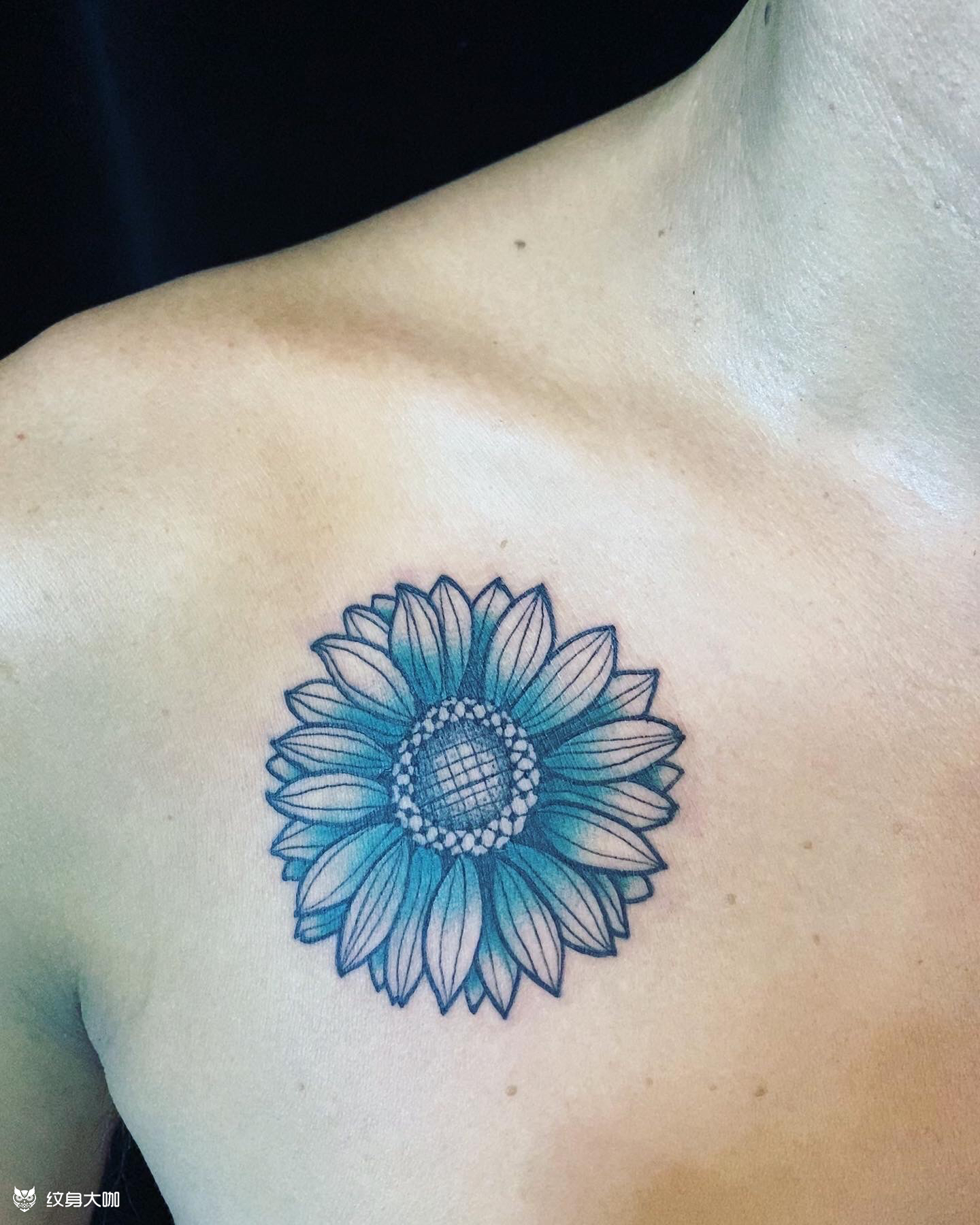 太阳花_纹身图案手稿图片_非力的纹身作品集