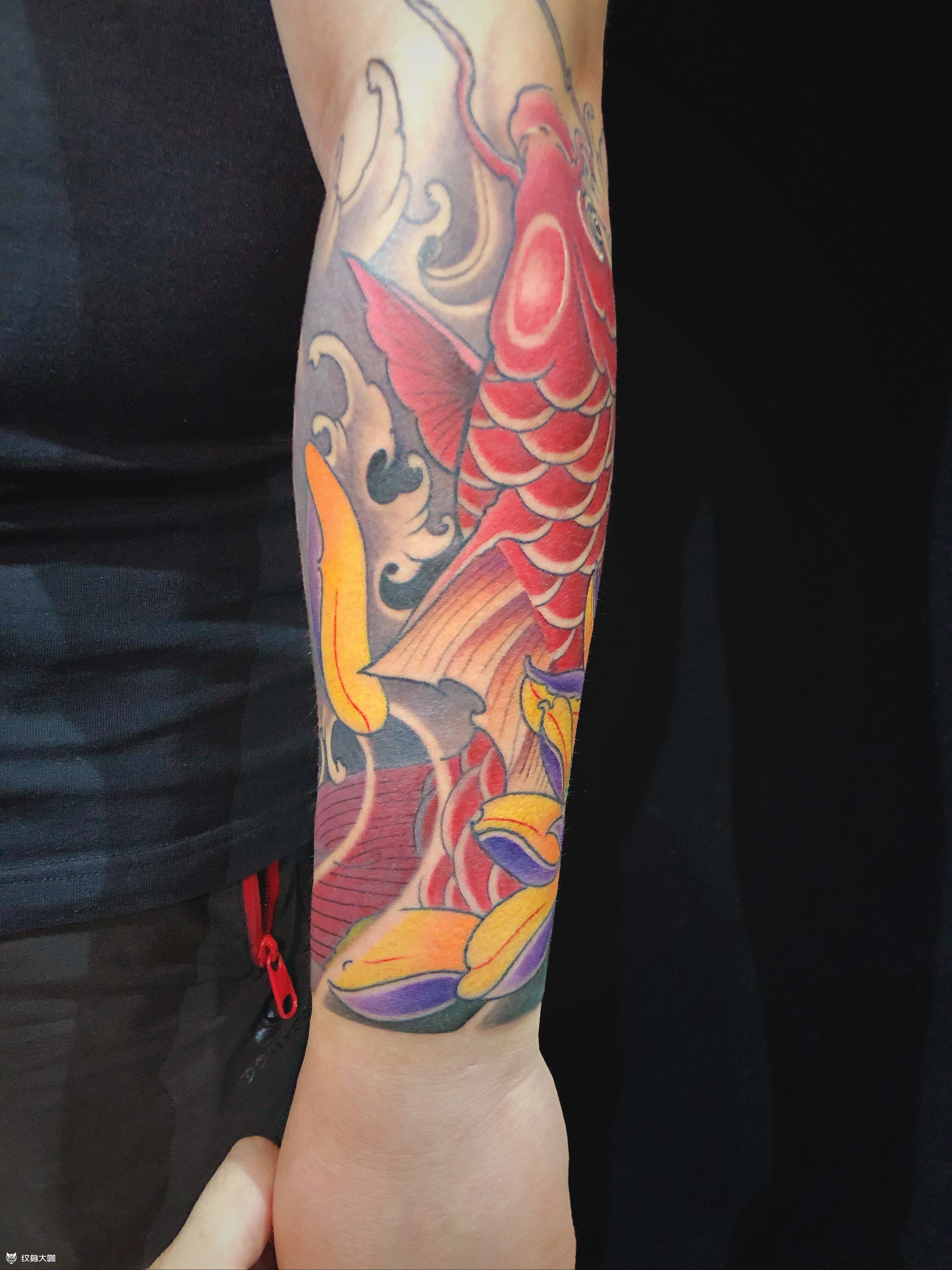 红鲤鱼_纹身图案手稿图片_大双哥的纹身作品集