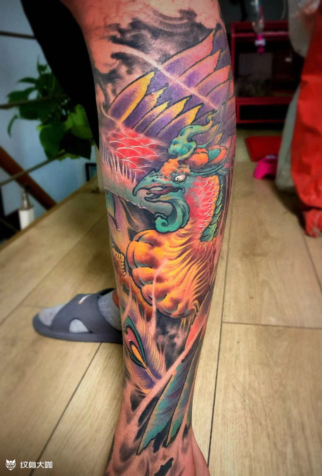 新传统凤凰全包小腿_纹身图案手稿图片_张迎的纹身作品集