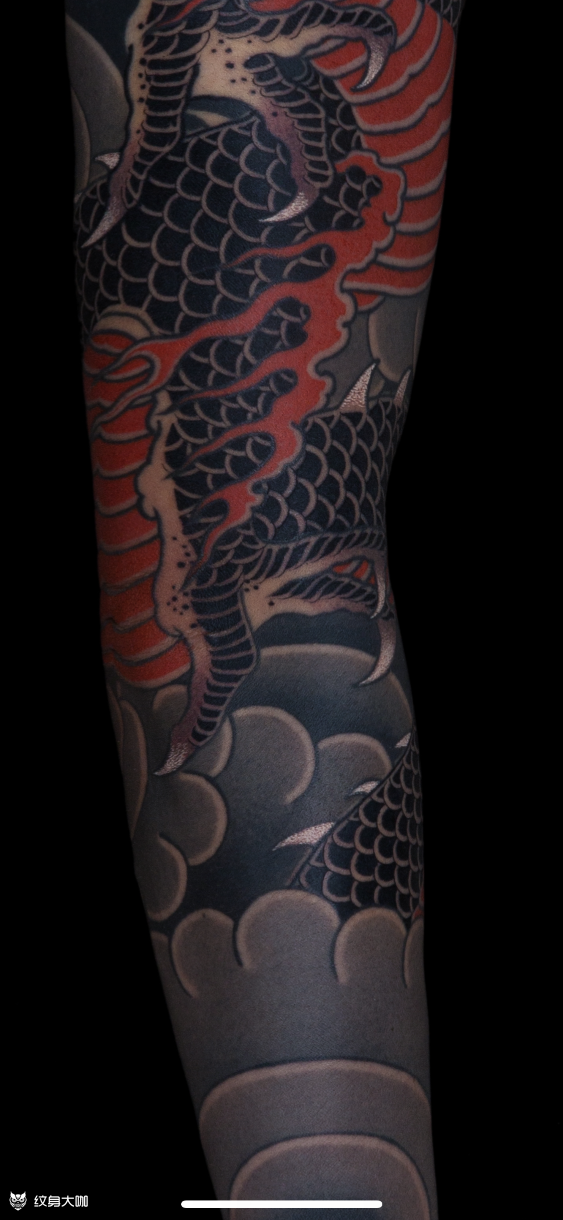 老传统神龙花臂61唐龙毛毛 _纹身吧社区 - 纹身大咖