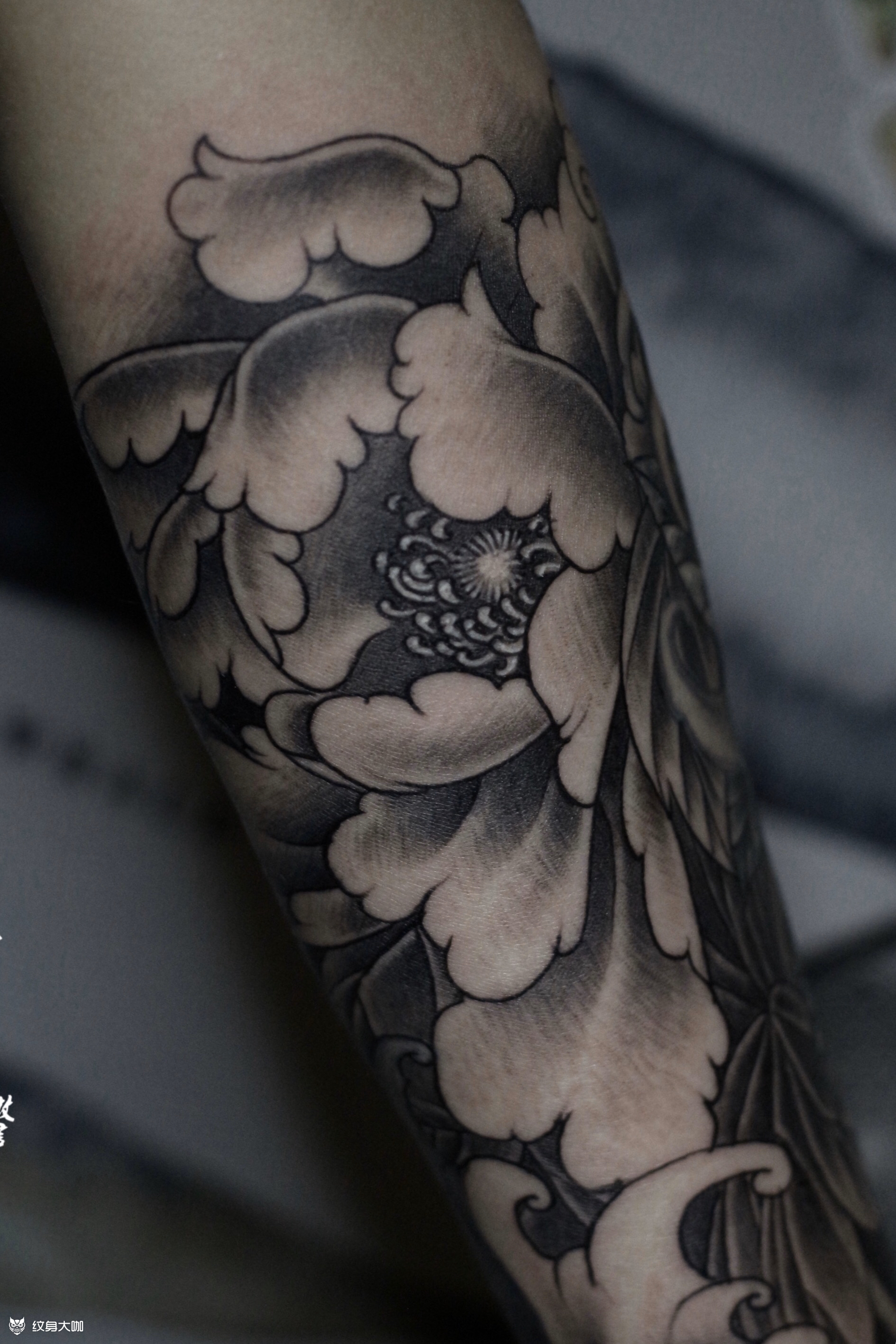 牡丹花_纹身图案手稿图片_邹书平的纹身作品集