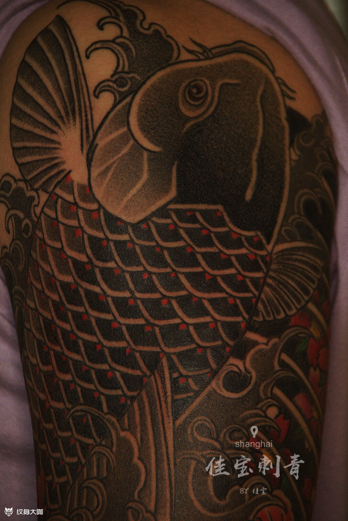 鲤鱼七分袖_纹身图案手稿图片_徐骏佳的纹身作品集