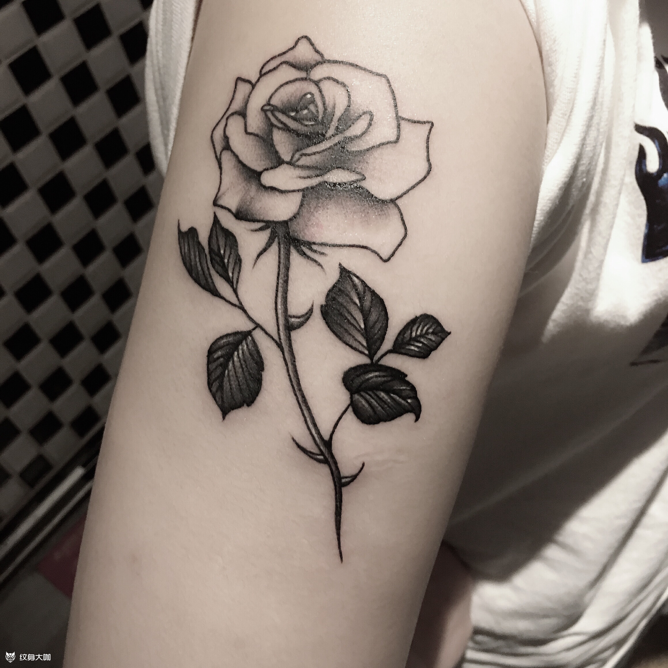 玫瑰花_纹身图案手稿图片_杨茹的纹身作品集