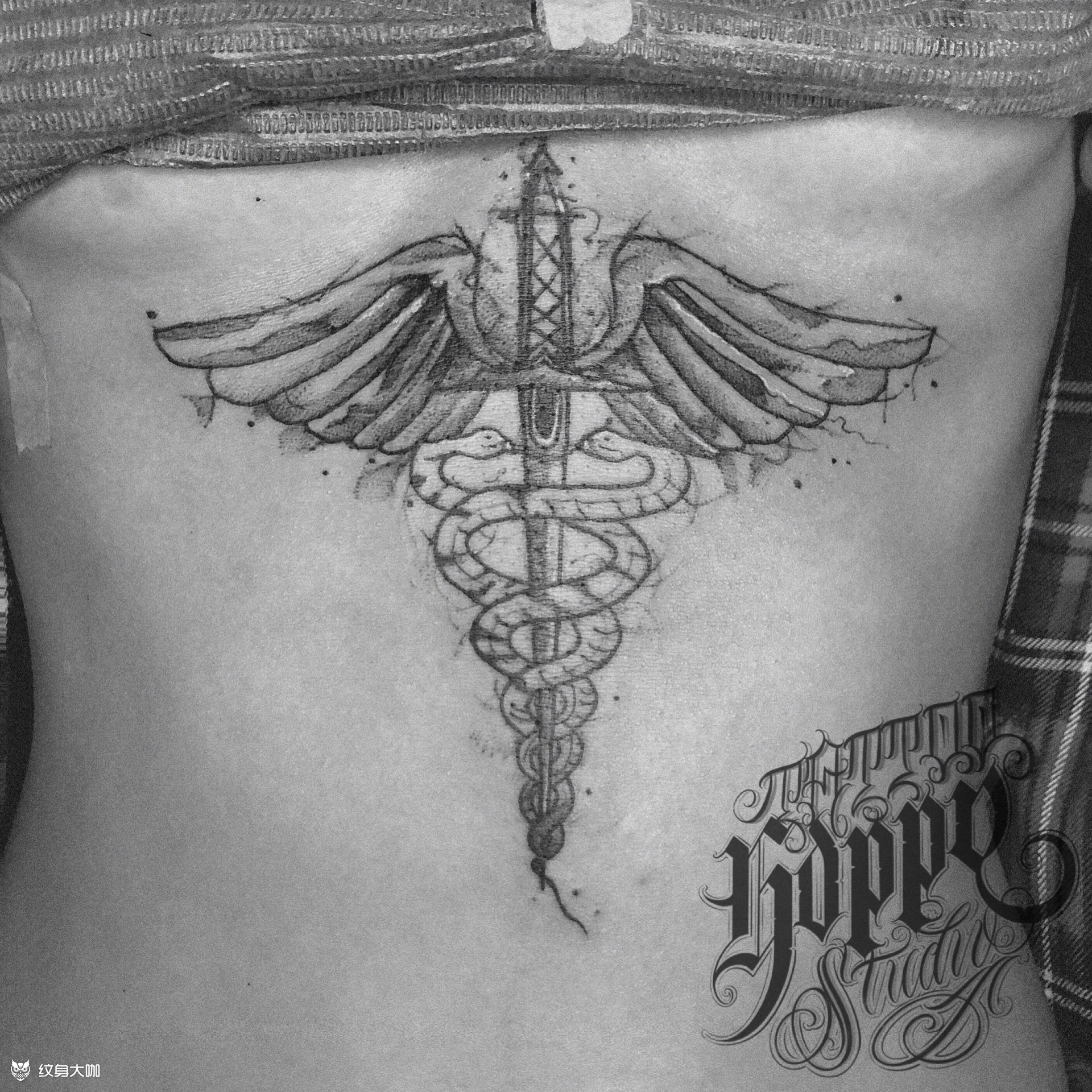 双头蛇_纹身图案手稿图片_西决的纹身作品集