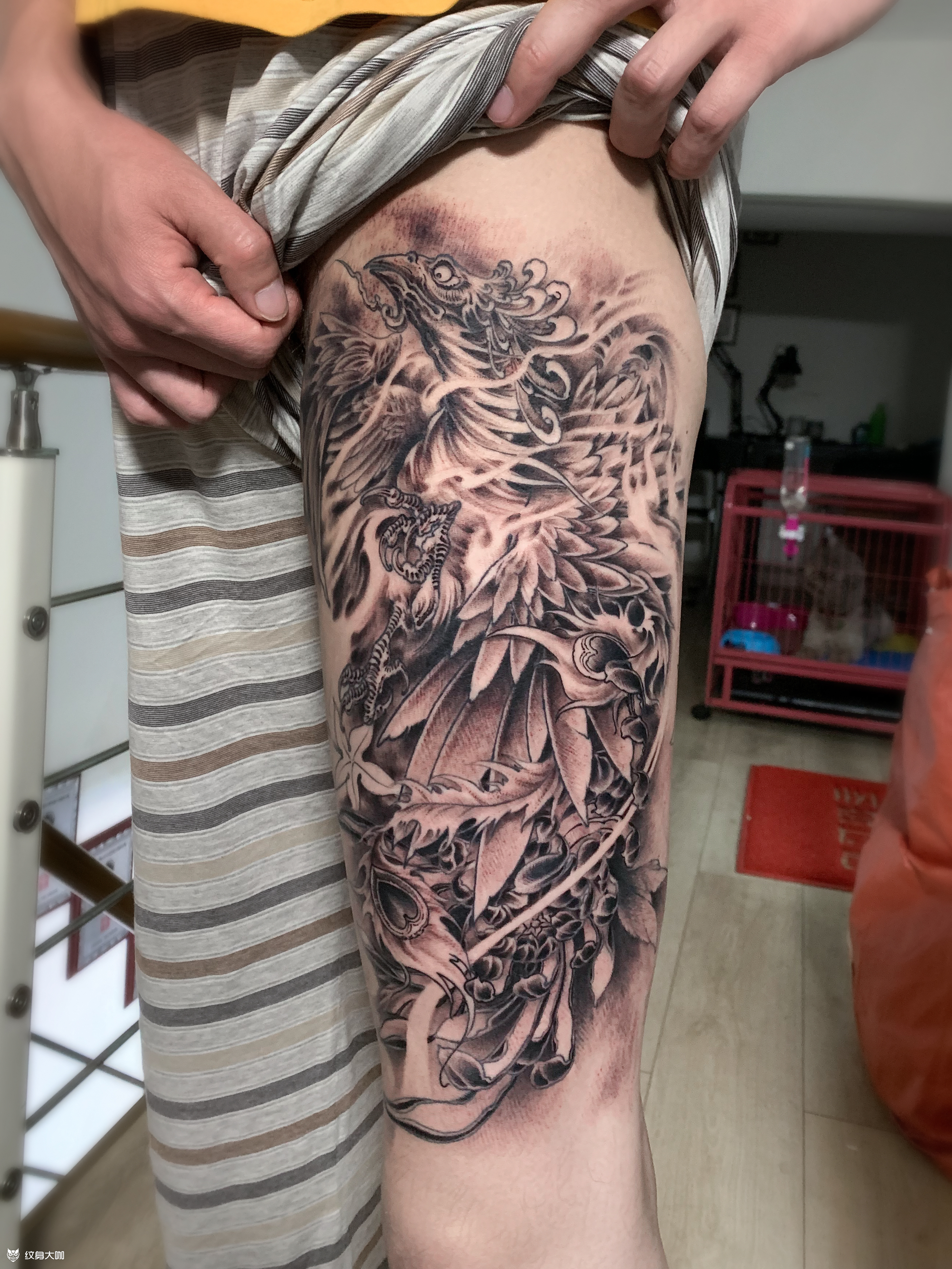 凤凰_纹身图案手稿图片_张迎的纹身作品集