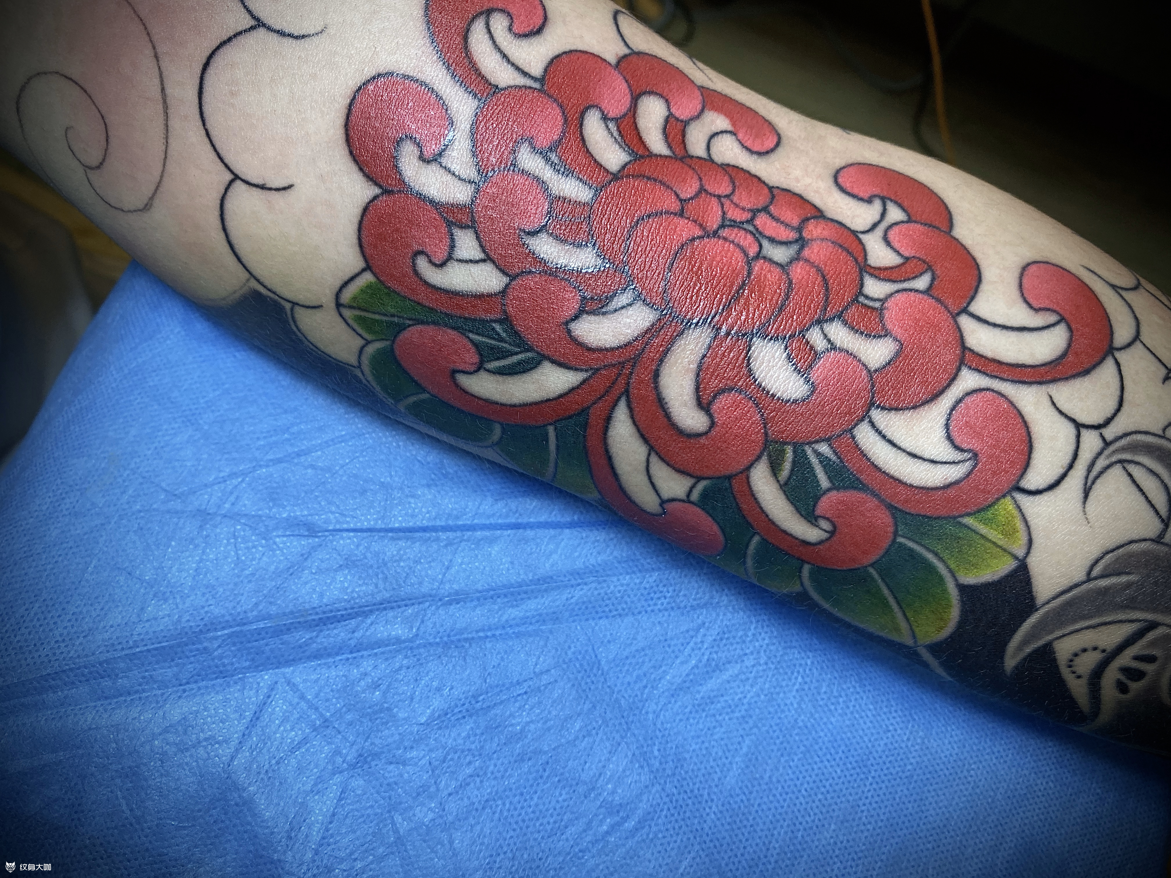 菊花_纹身图案手稿图片_9899欧阳 tattoo的纹身作品集