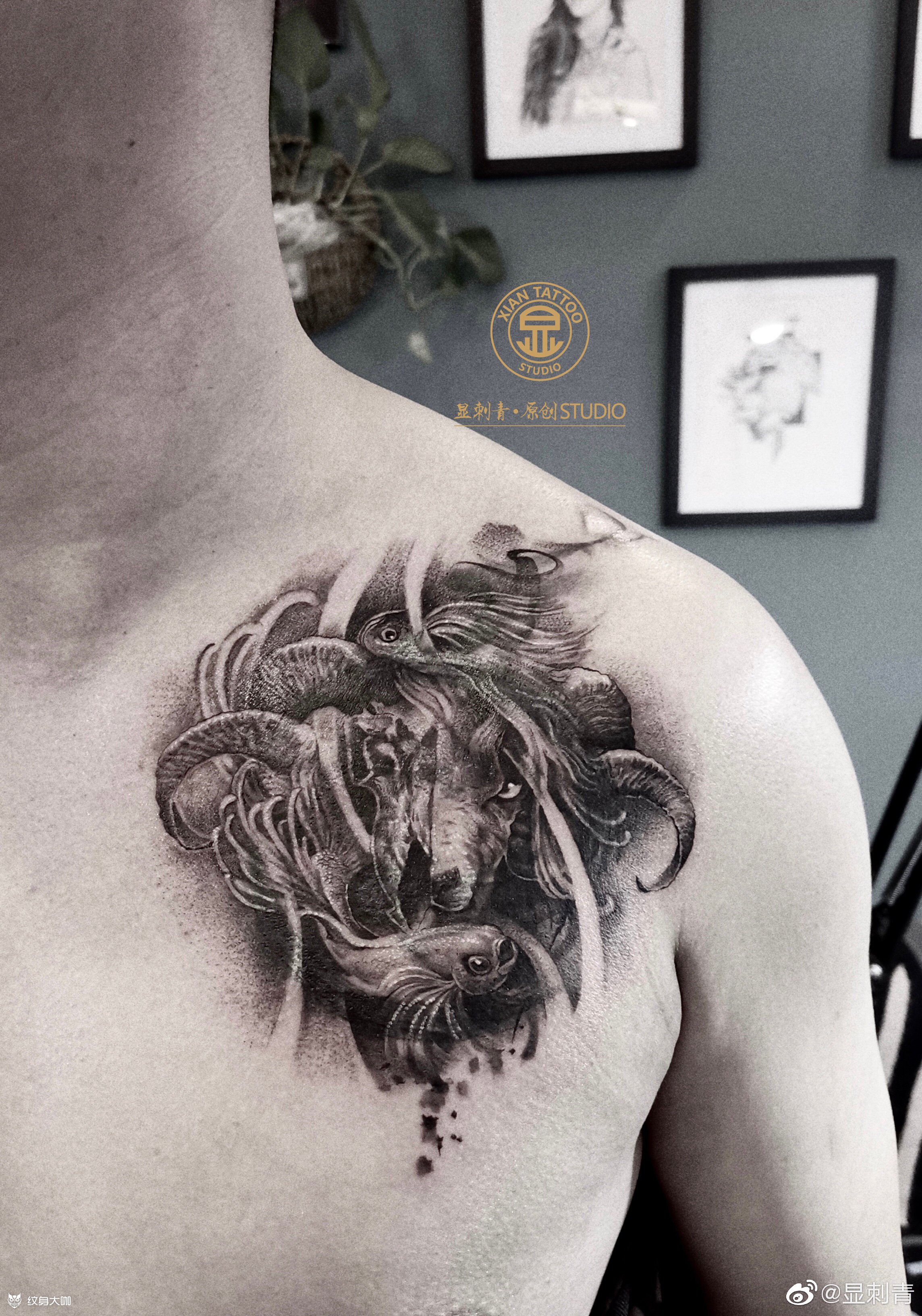 羊头遮盖_纹身图案手稿图片_显胜老尸的纹身作品集