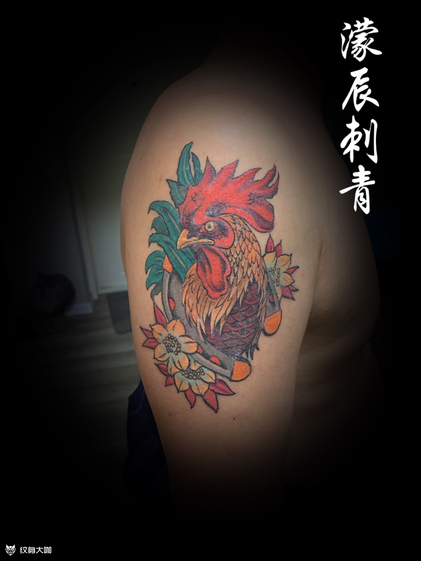 大公鸡_纹身图案手稿图片_首席~鲆的纹身作品集