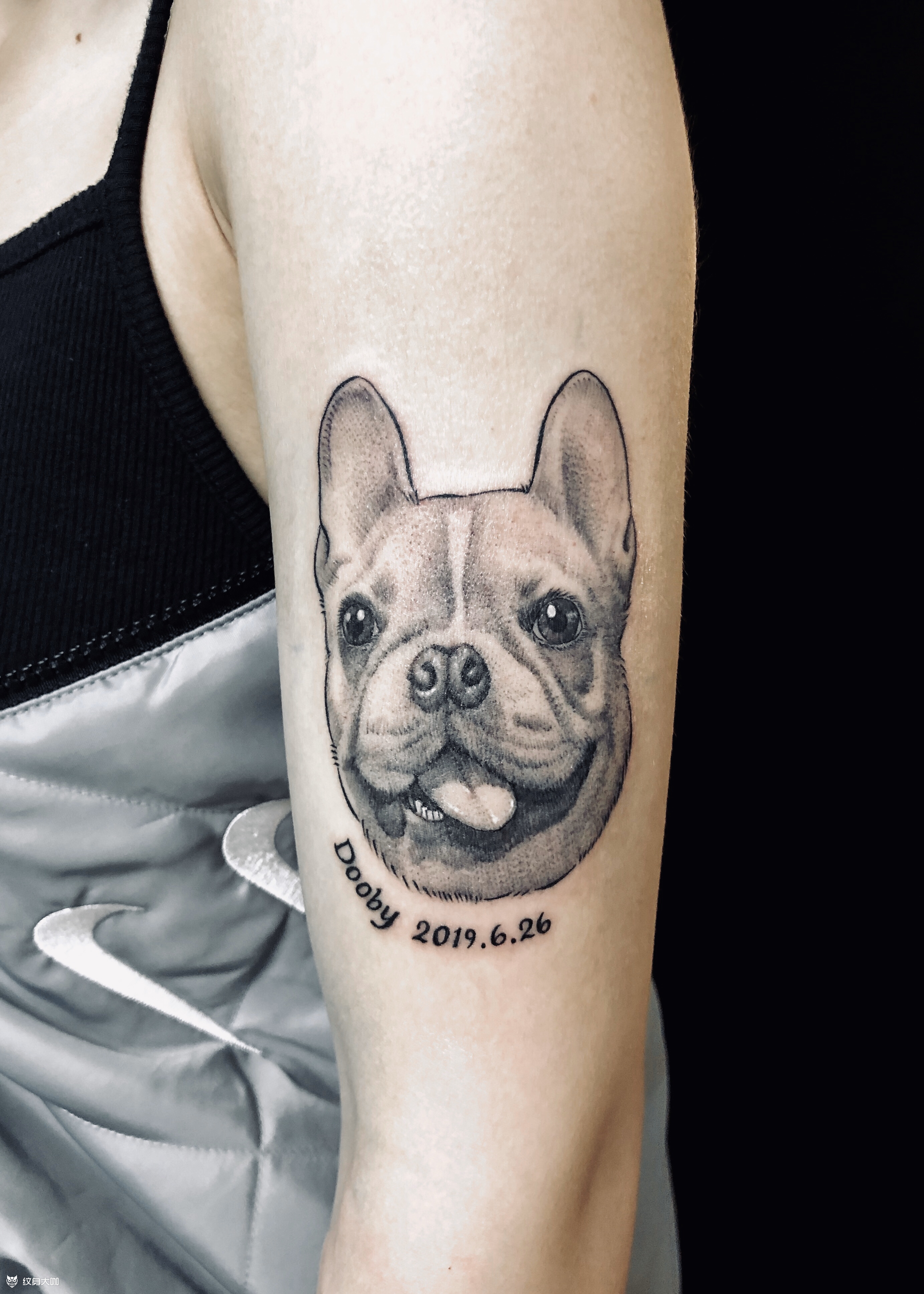 法斗_纹身图案手稿图片_苍井的纹身作品集