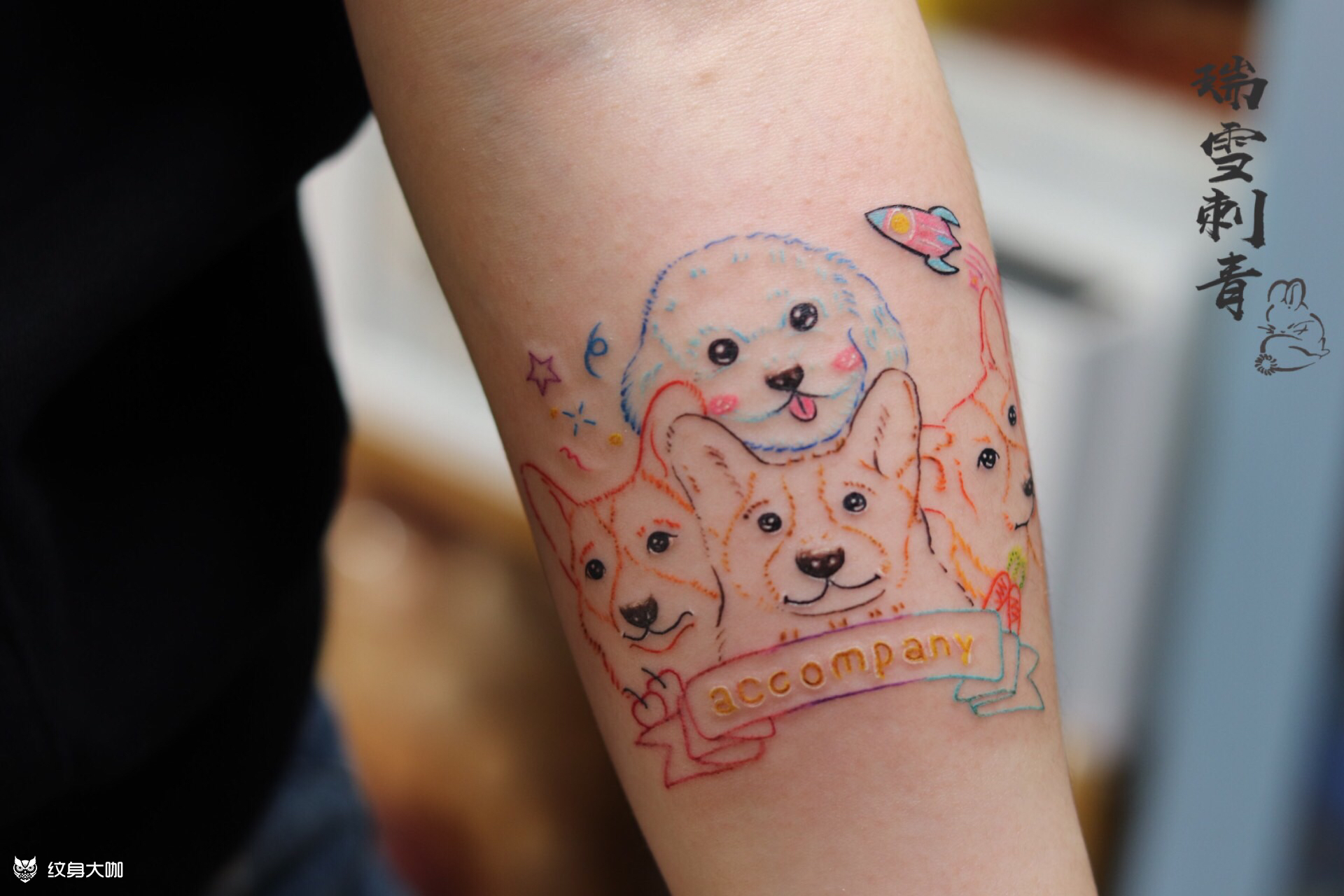 泰迪宠物狗纹身_纹身图案手稿图片_刘瑞雪的纹身作品集