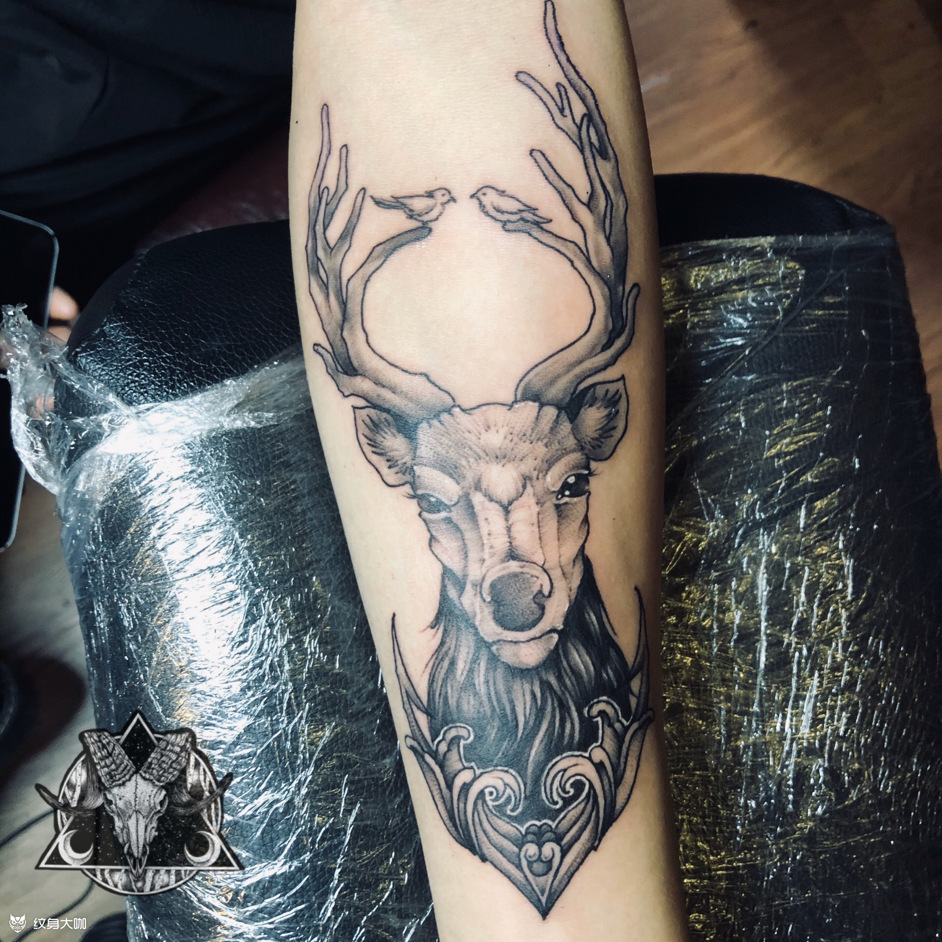 鹿_纹身图案手稿图片_杰刺的纹身作品集