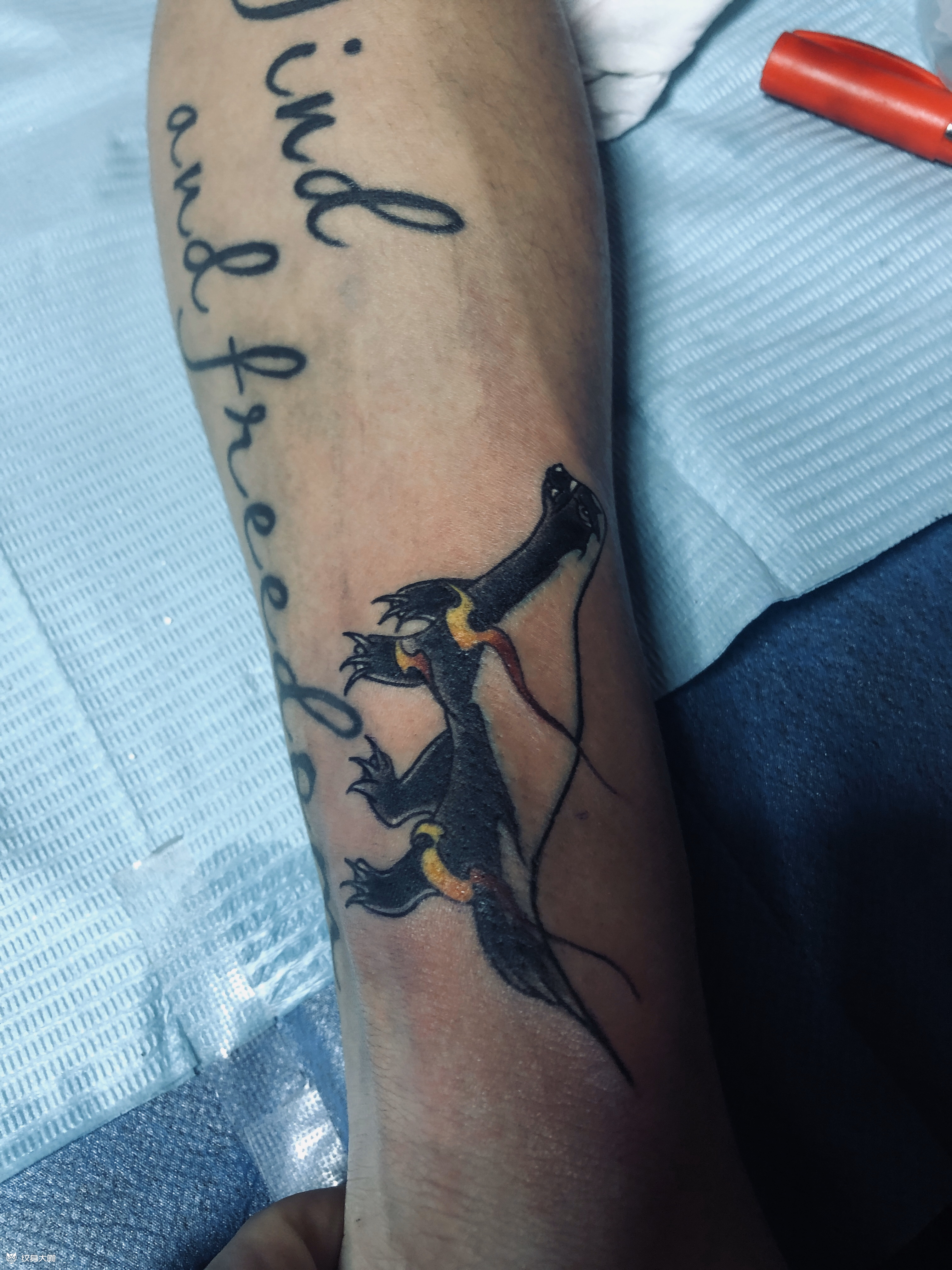 蜜獾05_纹身图案手稿图片_雕羽的纹身作品集