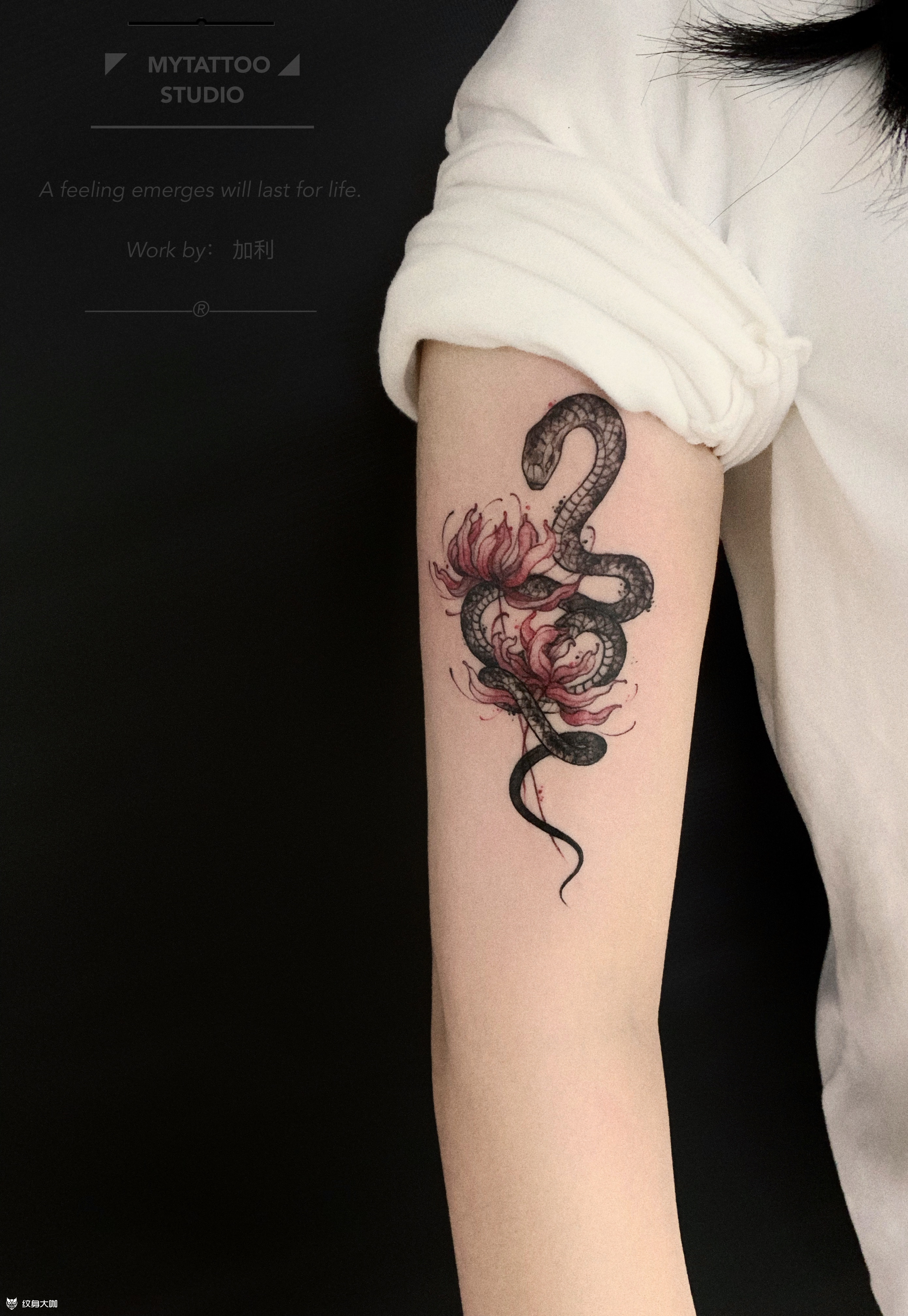 蛇➕彼岸花_纹身图案手稿图片_加利的纹身作品集