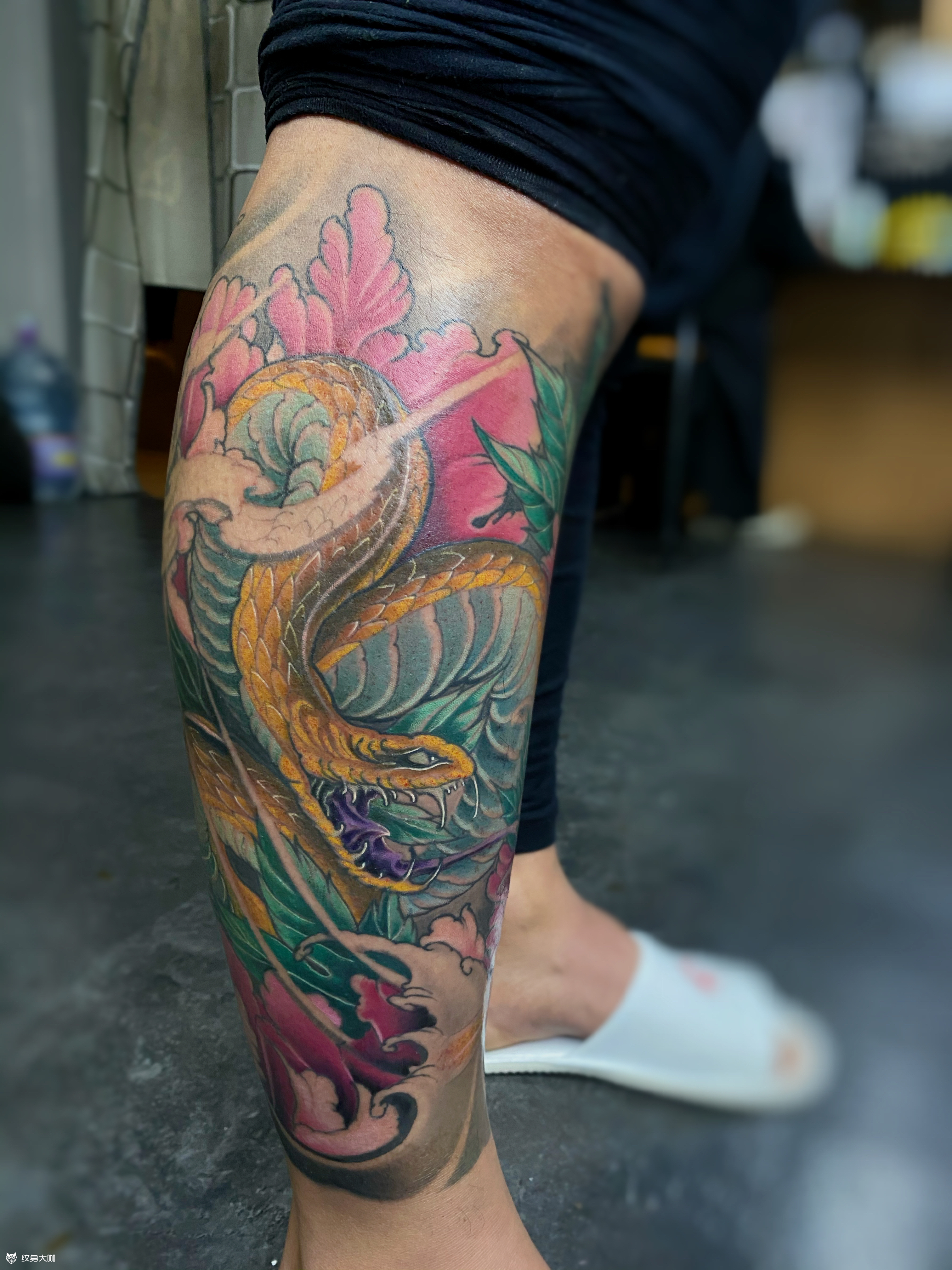 包小腿(金蟒97)_纹身图案手稿图片_周壮的纹身作品集