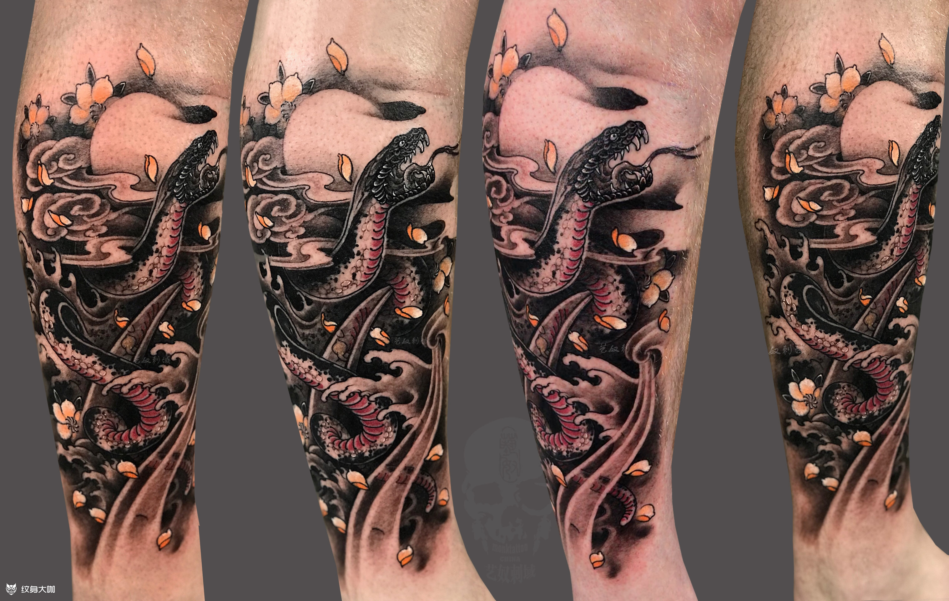 创作蛇传统小腿半包_纹身图案手稿图片_和尚的纹身作品集