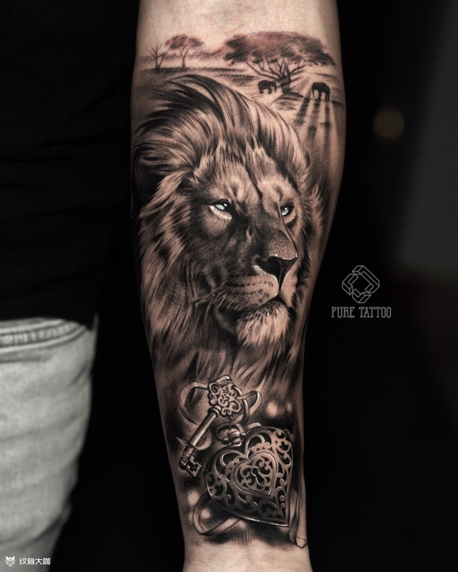 狮子_纹身图案手稿图片_廖立佳的纹身作品集
