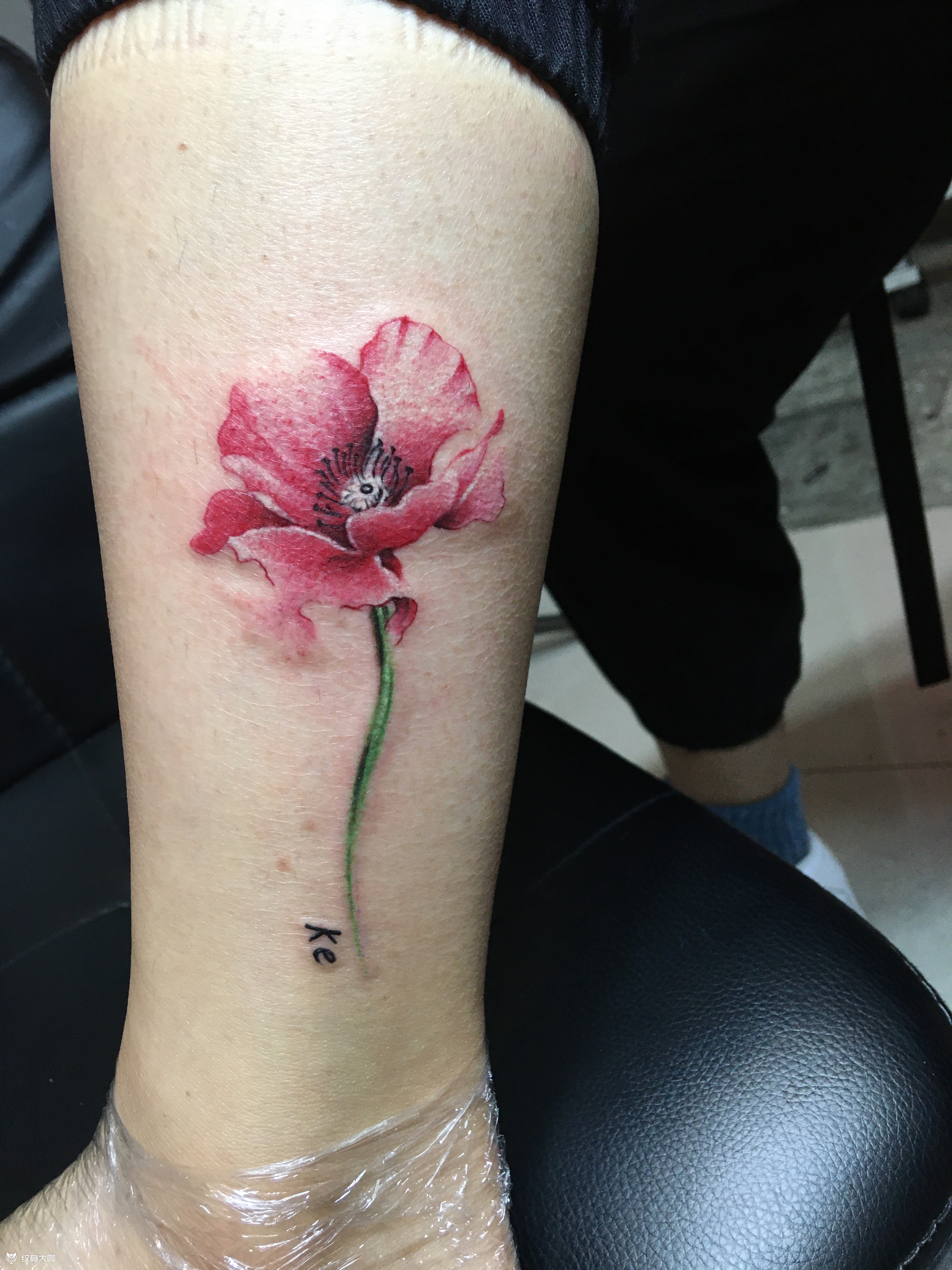 罂粟花_纹身图案手稿图片_菠萝买墨迹的纹身作品集