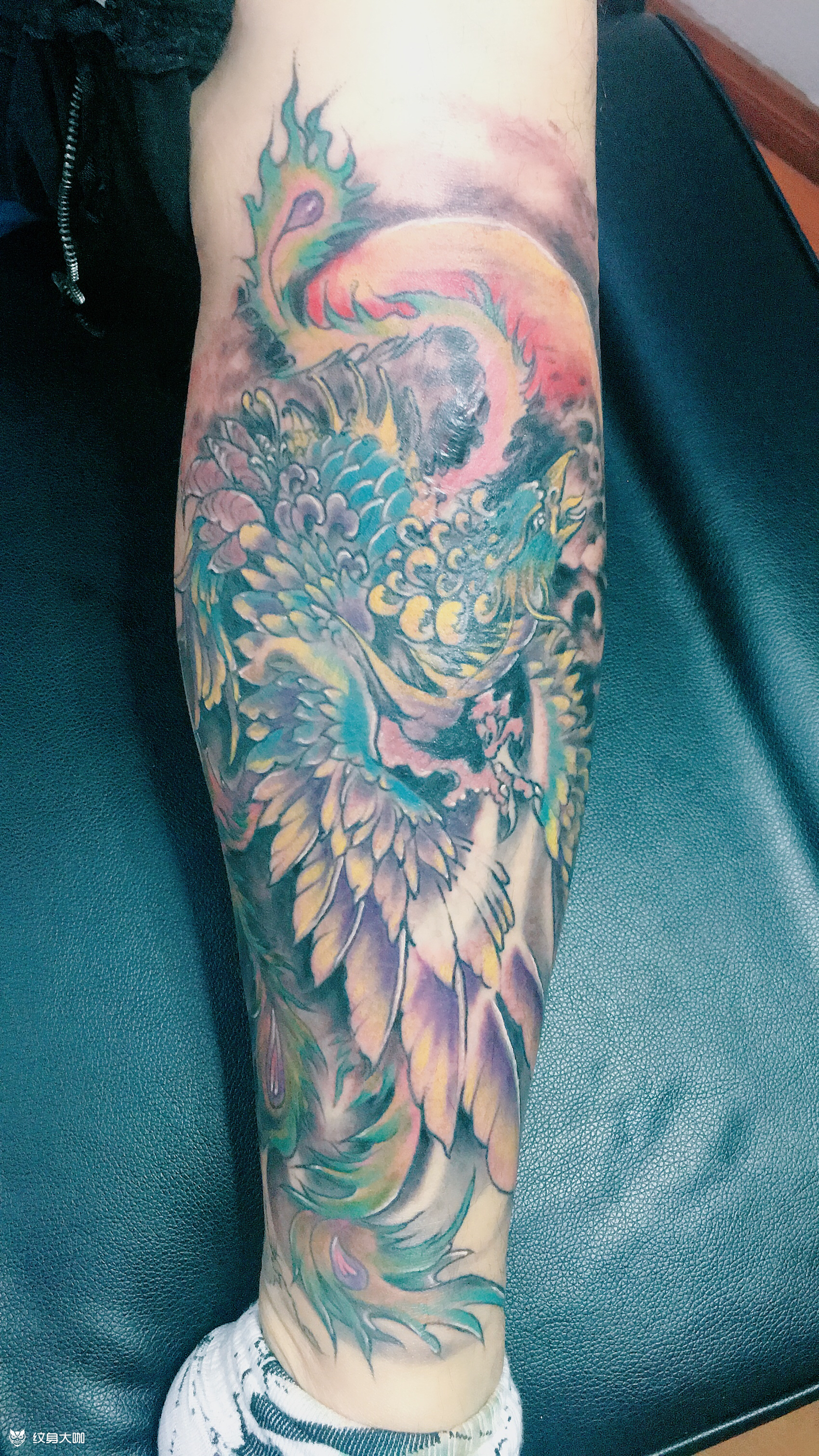小腿凤凰_纹身图案手稿图片_张铖耀的纹身作品集