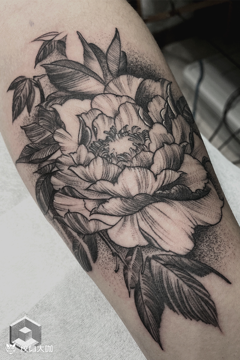 点刺线条牡丹花_纹身图案手稿图片_程程joy的纹身作品集